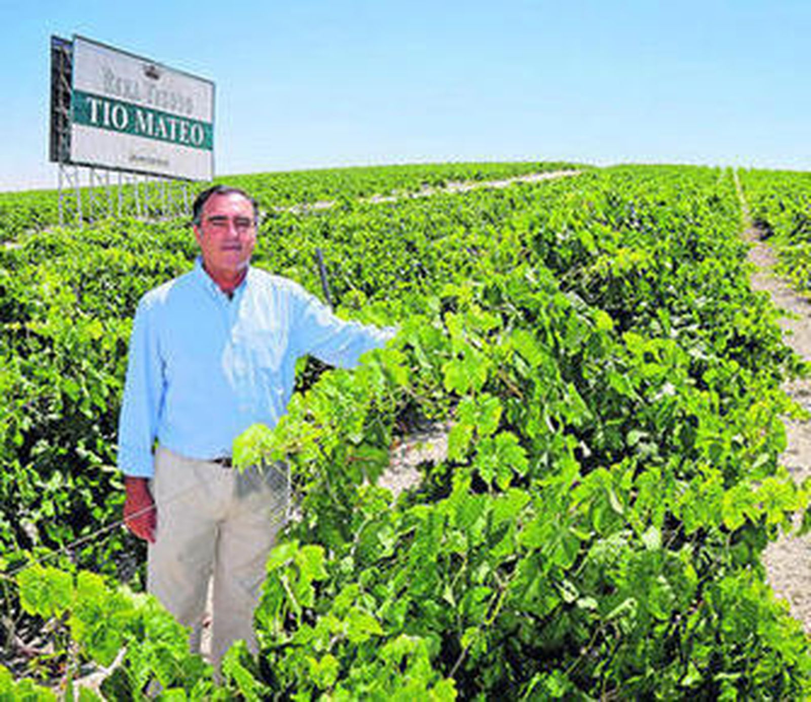 José Ramón Estévez, presidente del Grupo Estévez, en las viñas de la bodega en Estella.