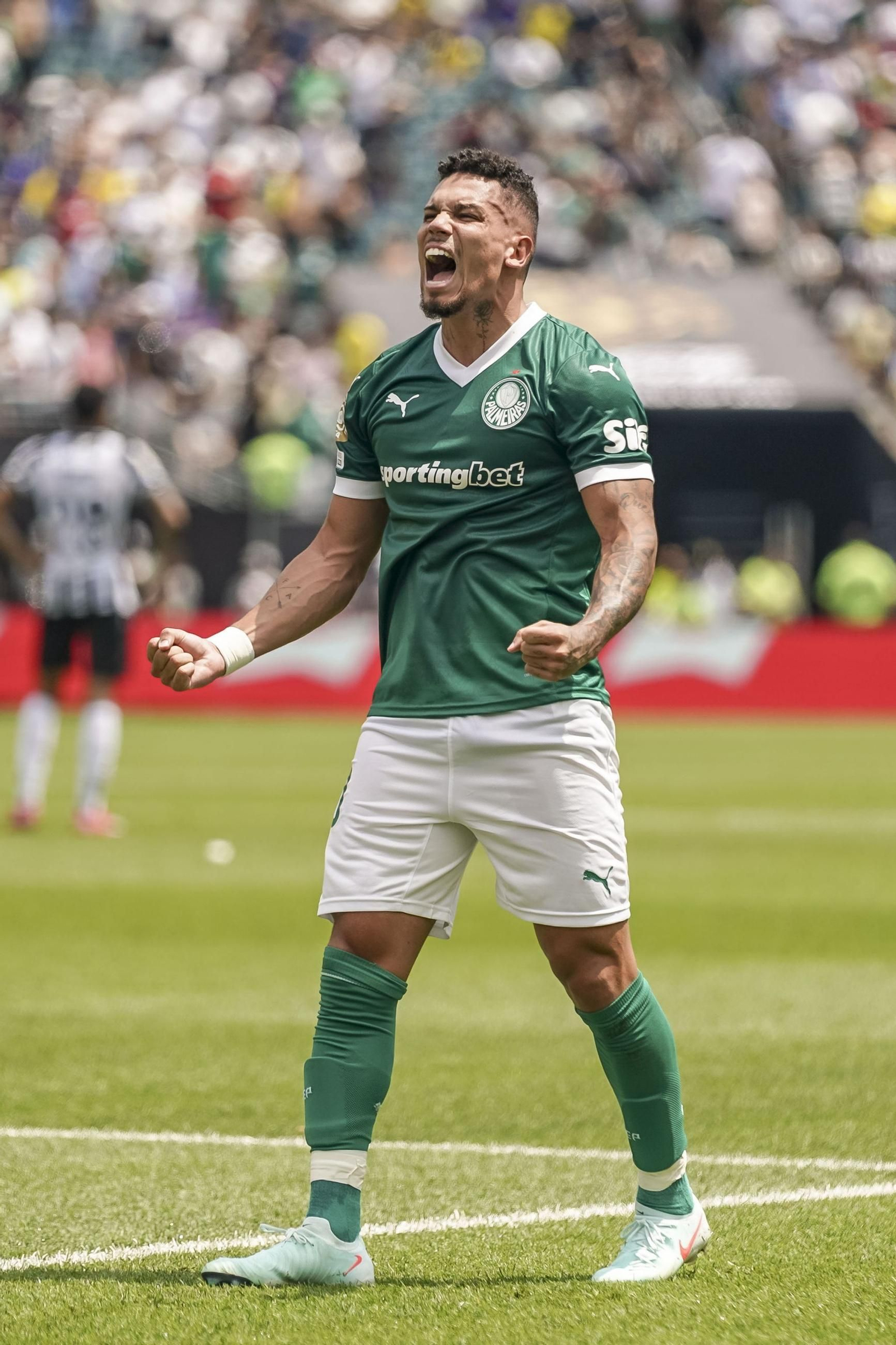 Palmeiras-Botafogo (31).jpg