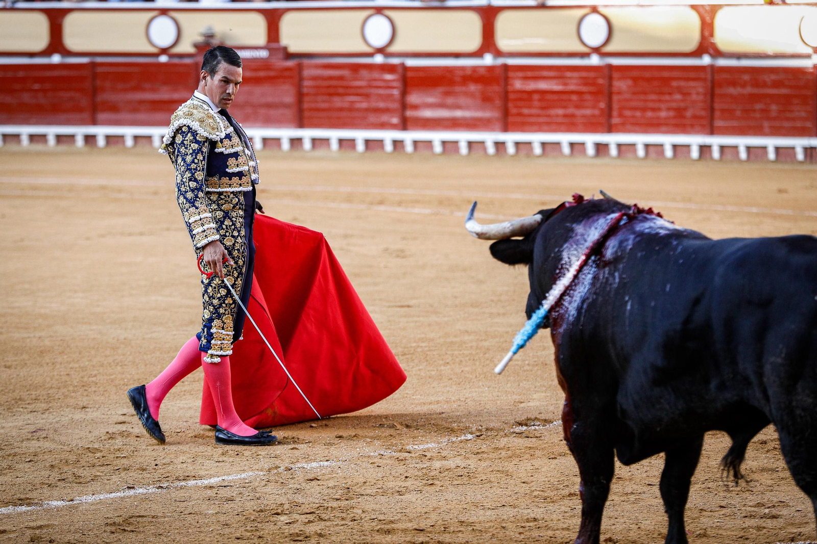 Imágenes de la corrida de toros en El Puerto: Manzanares, Roca Rey y Pablo Aguado