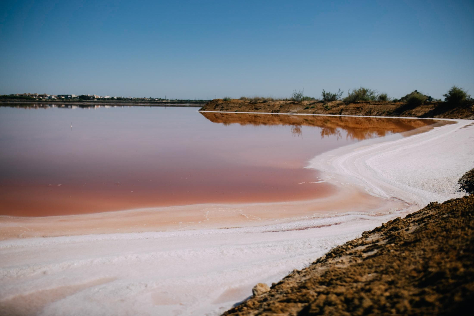 Un recorrido fotográfico por el Paraje Natural Marismas del Odiel