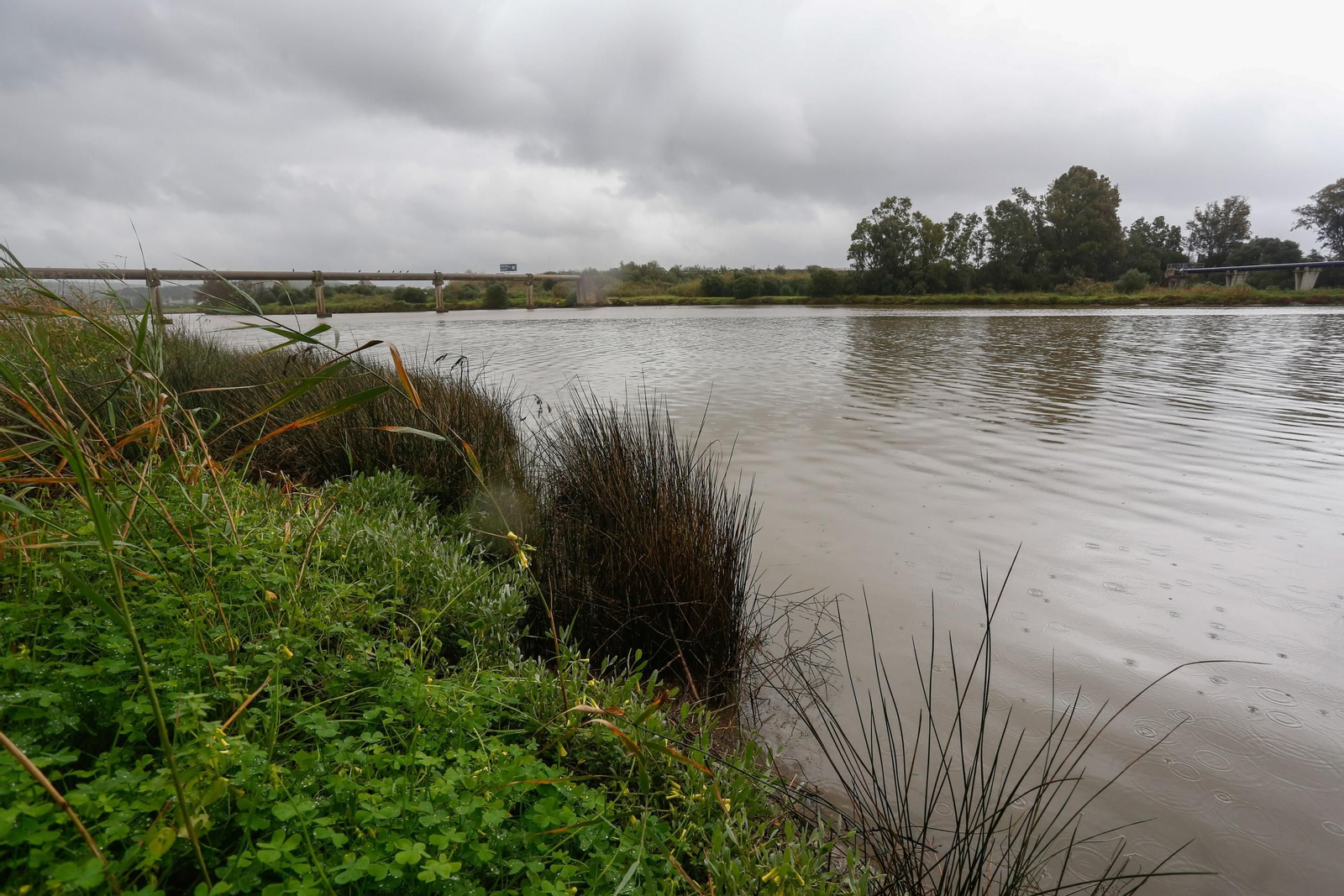 La desembocadura del río Palmones.