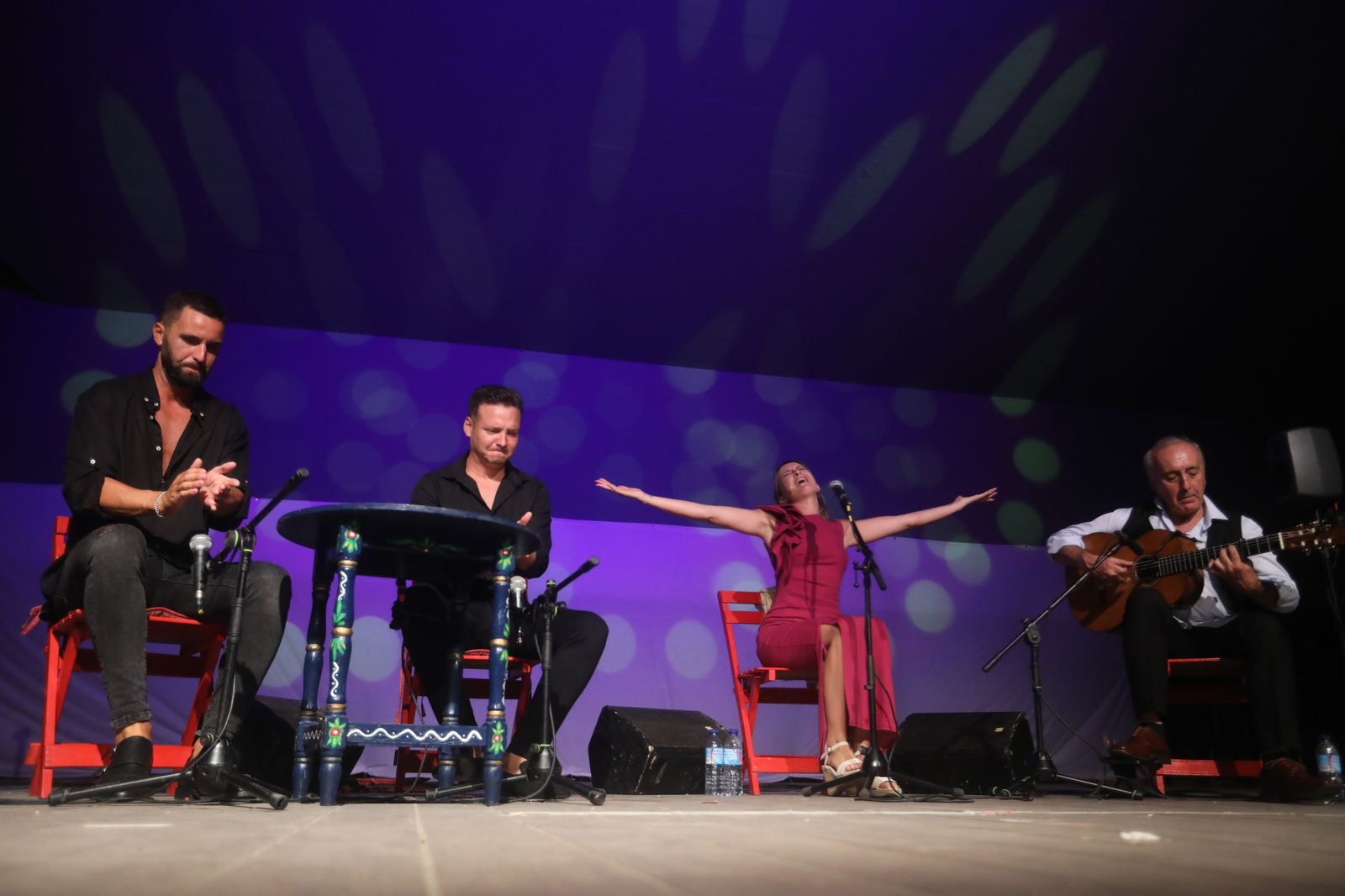 La noche flamenca en el Parque de San Fernando, en imágenes