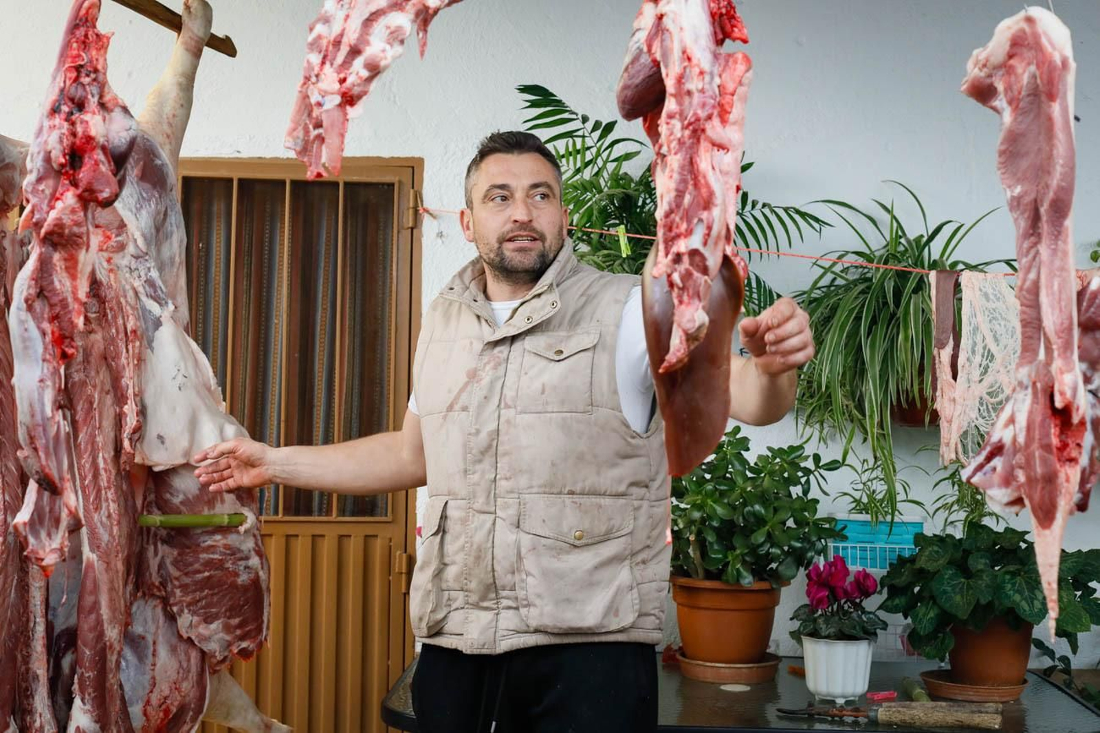 Te contamos en imágenes como son las matanzas en Chirivel