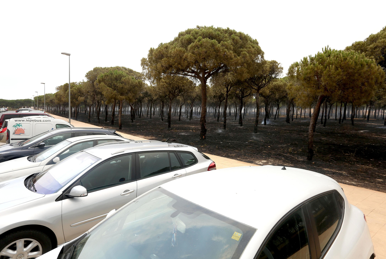 Las consecuencias del incendio en Mazagón