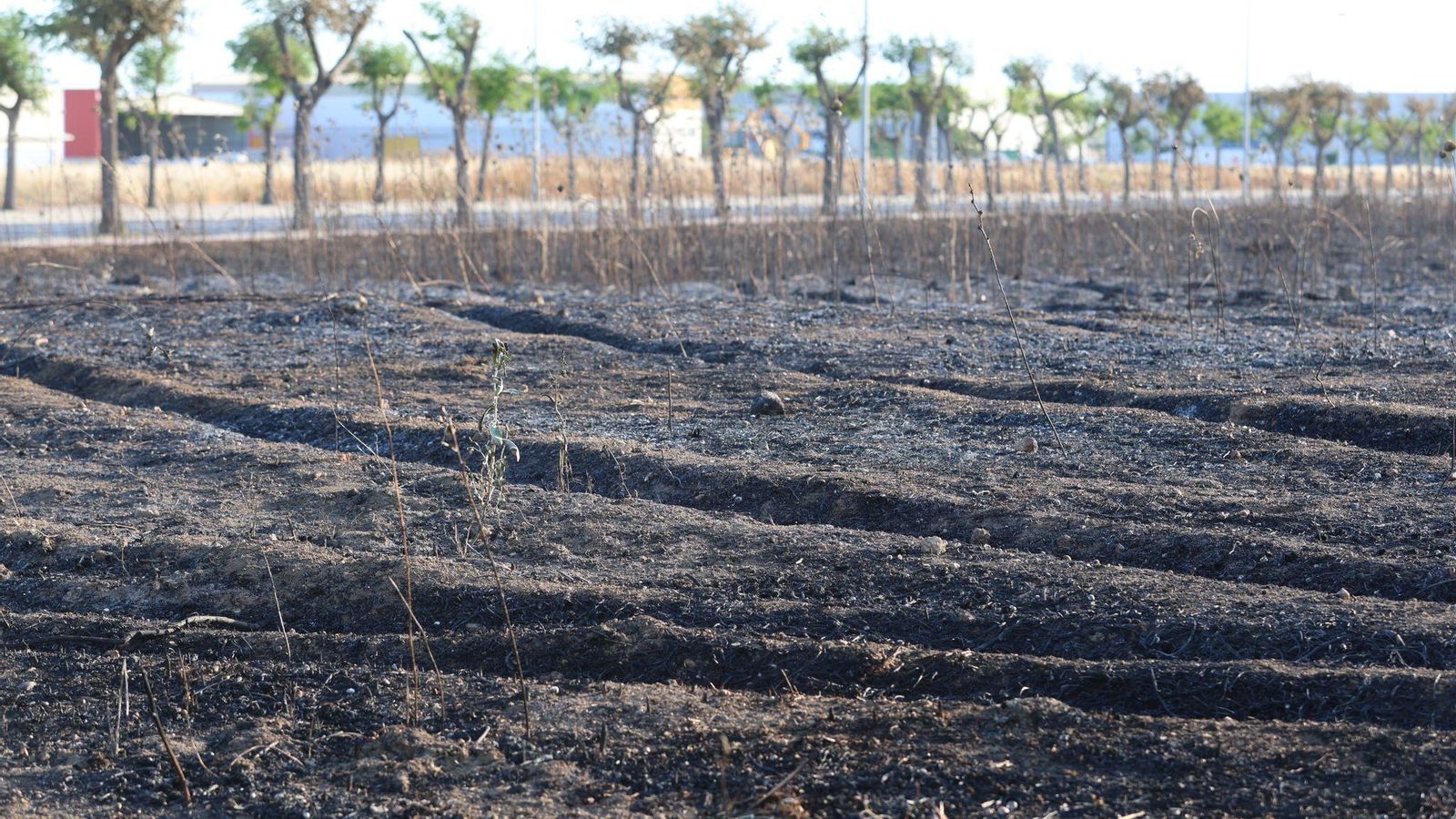 Incendio en la zona cercana al Parque Huelva Empresarial. Incendio en la zona cercana al Parque Huelva Empresarial.