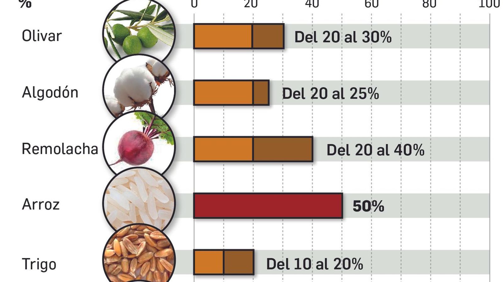 Gráfico que ilustra la situación.