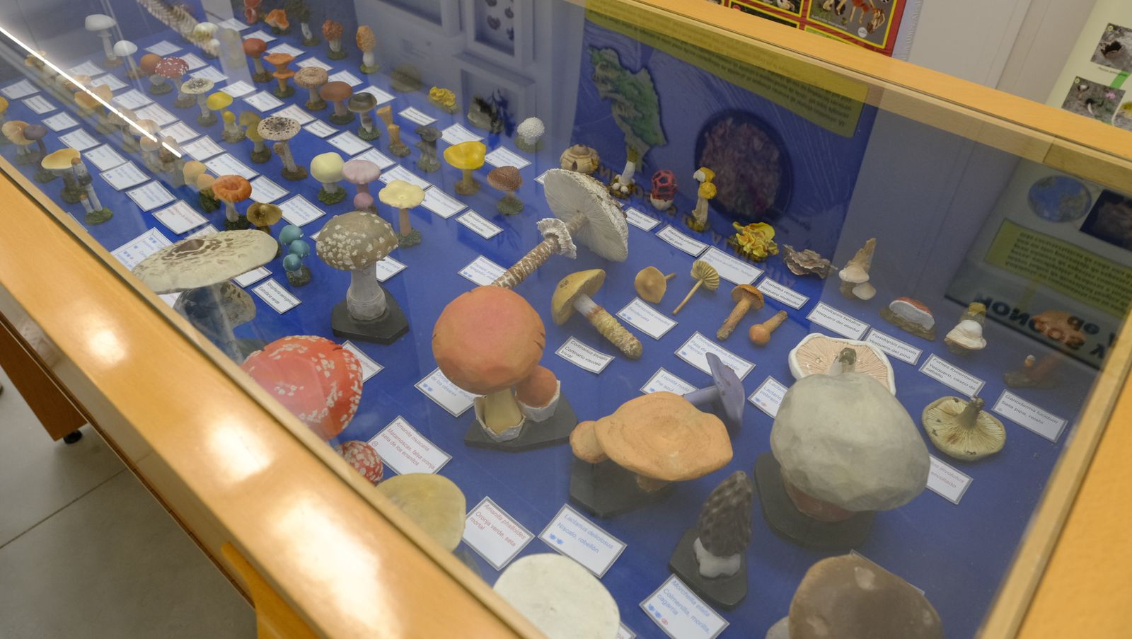 Las mejores imágenes del Pabellón de Historia Natural de la UAL