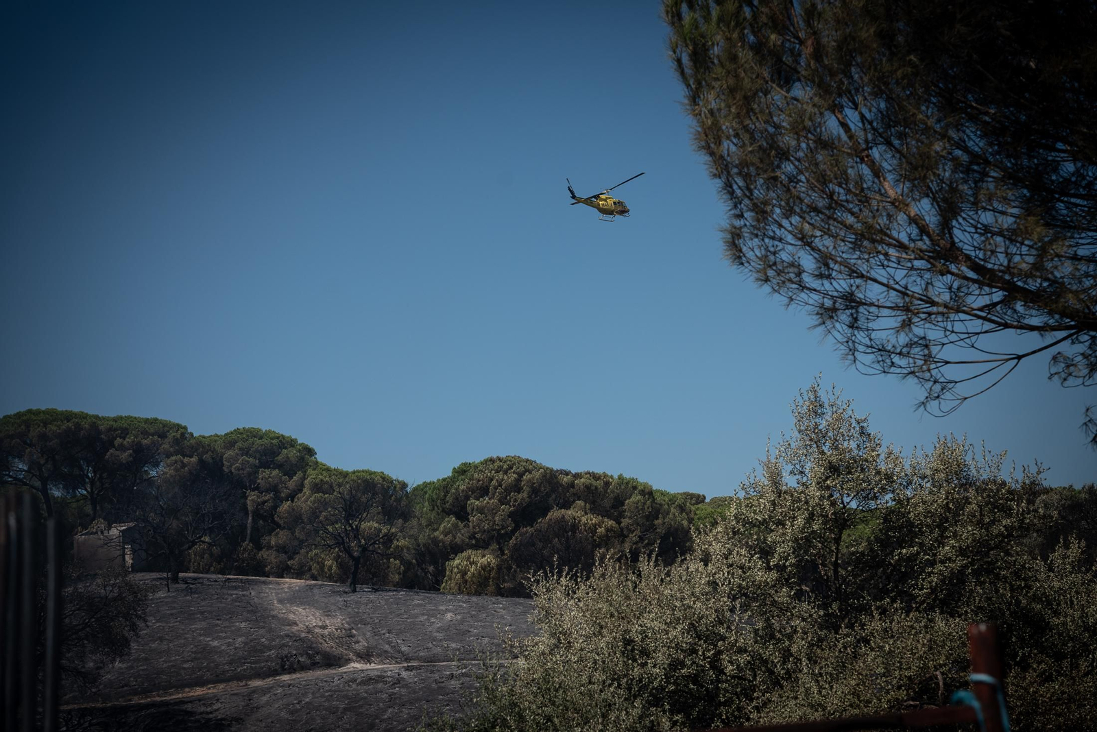 Imágenes de las labores de extinción del incendio de Bonares