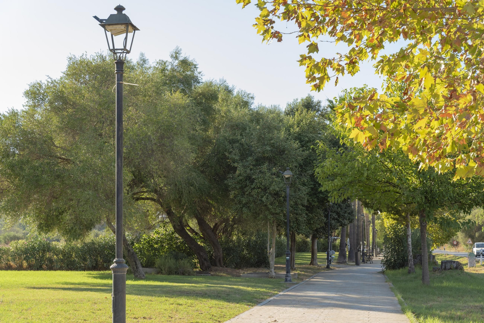 Fotos de Jimena de la Frontera