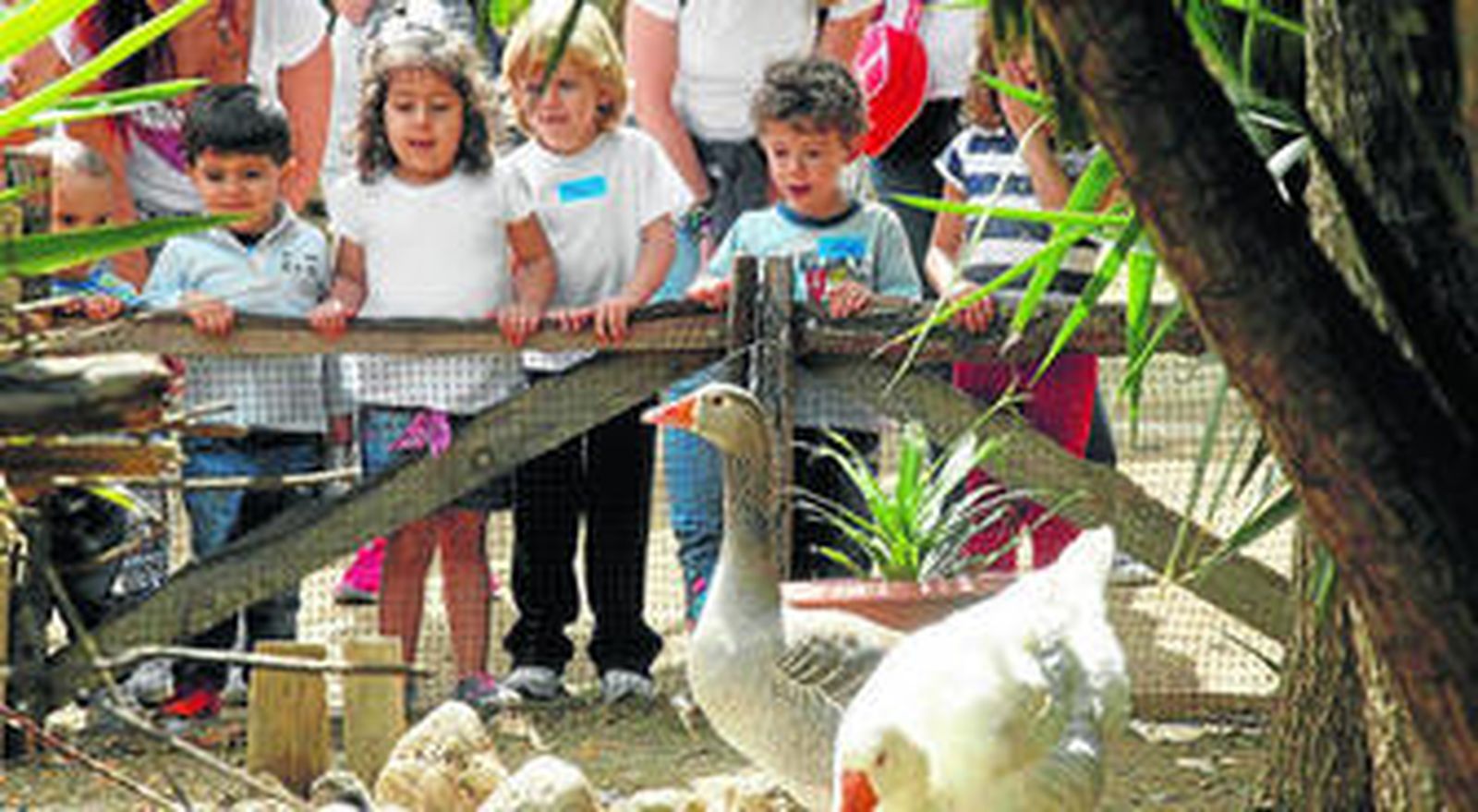 Los niños viendo y acariciando a los animales, regando el huerto y haciendo pan.