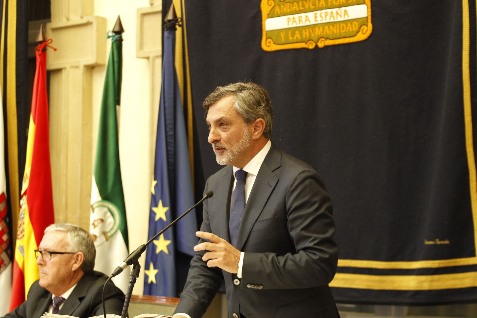 Pleno investidura Presidente Diputación de Almería. Javier Aureliano García