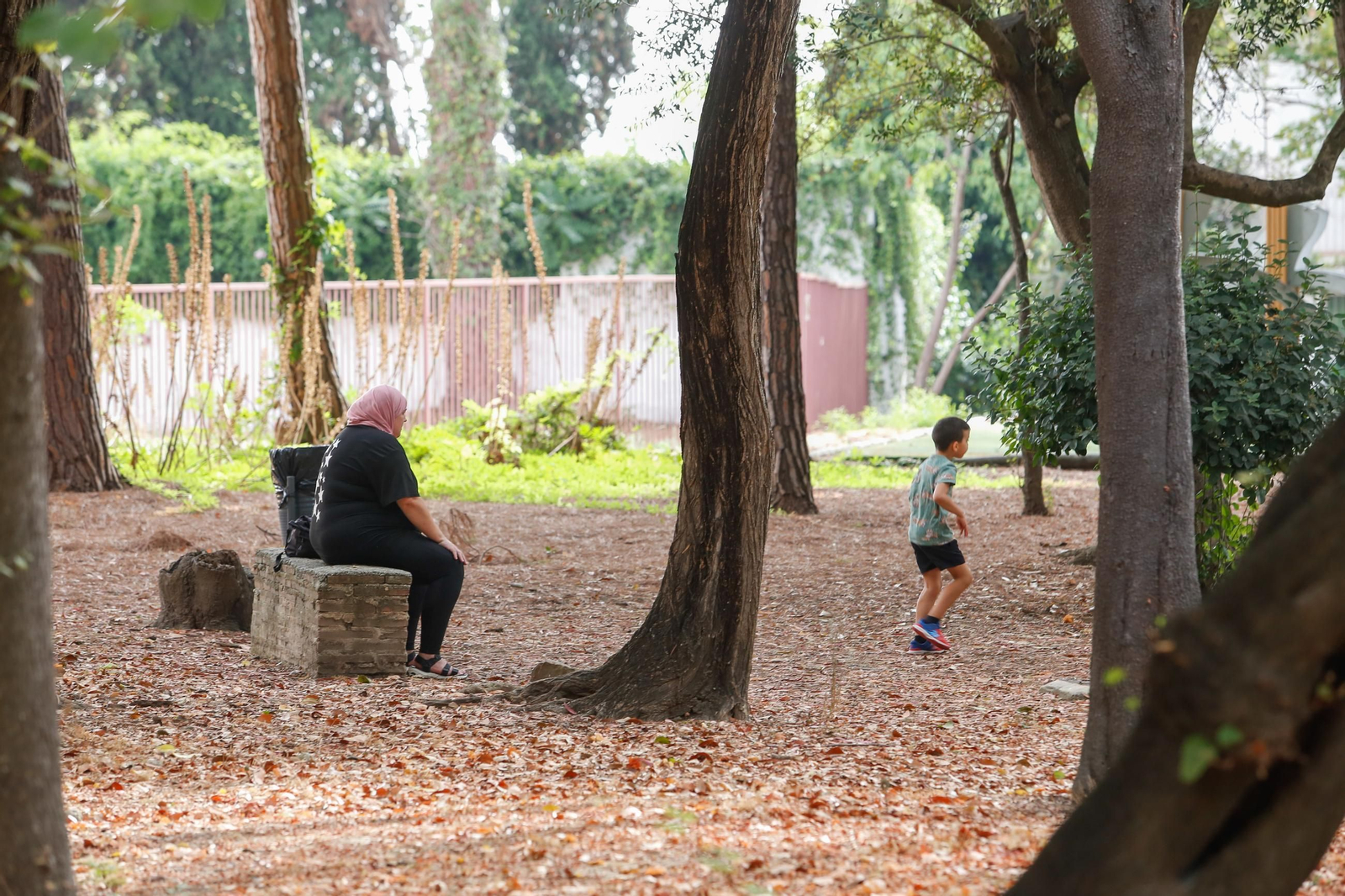 Fotos del Parque de las Acacias, en Villa Smith