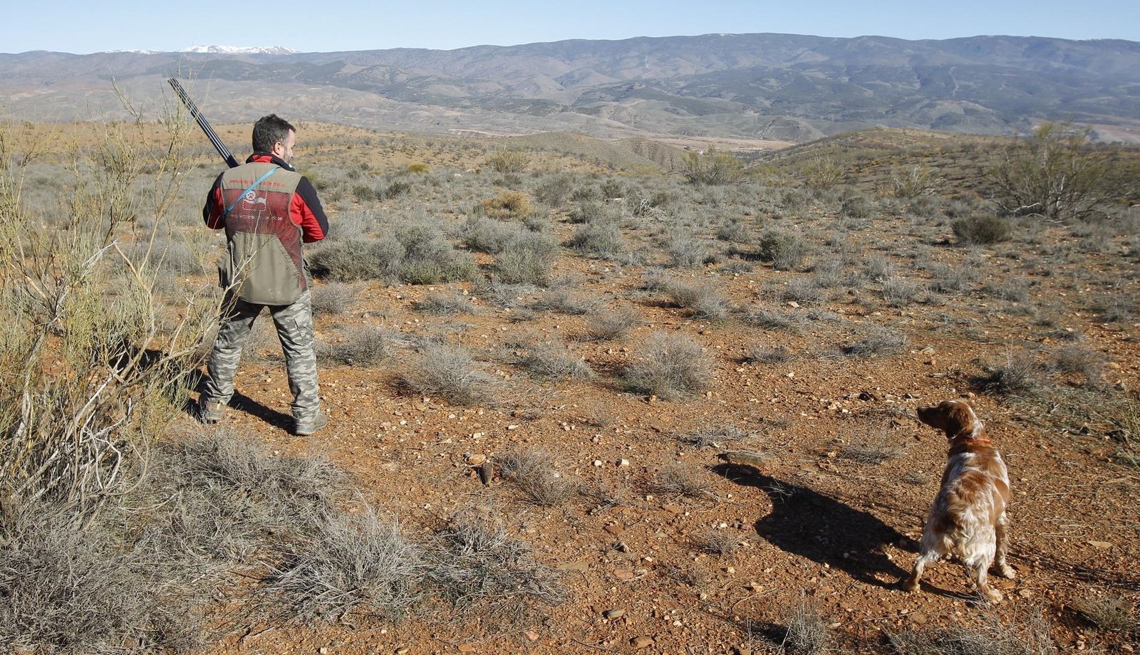 Ecologistas de Almería critican que la Junta exima a los cazadores de las duras restricciones de movilidad
