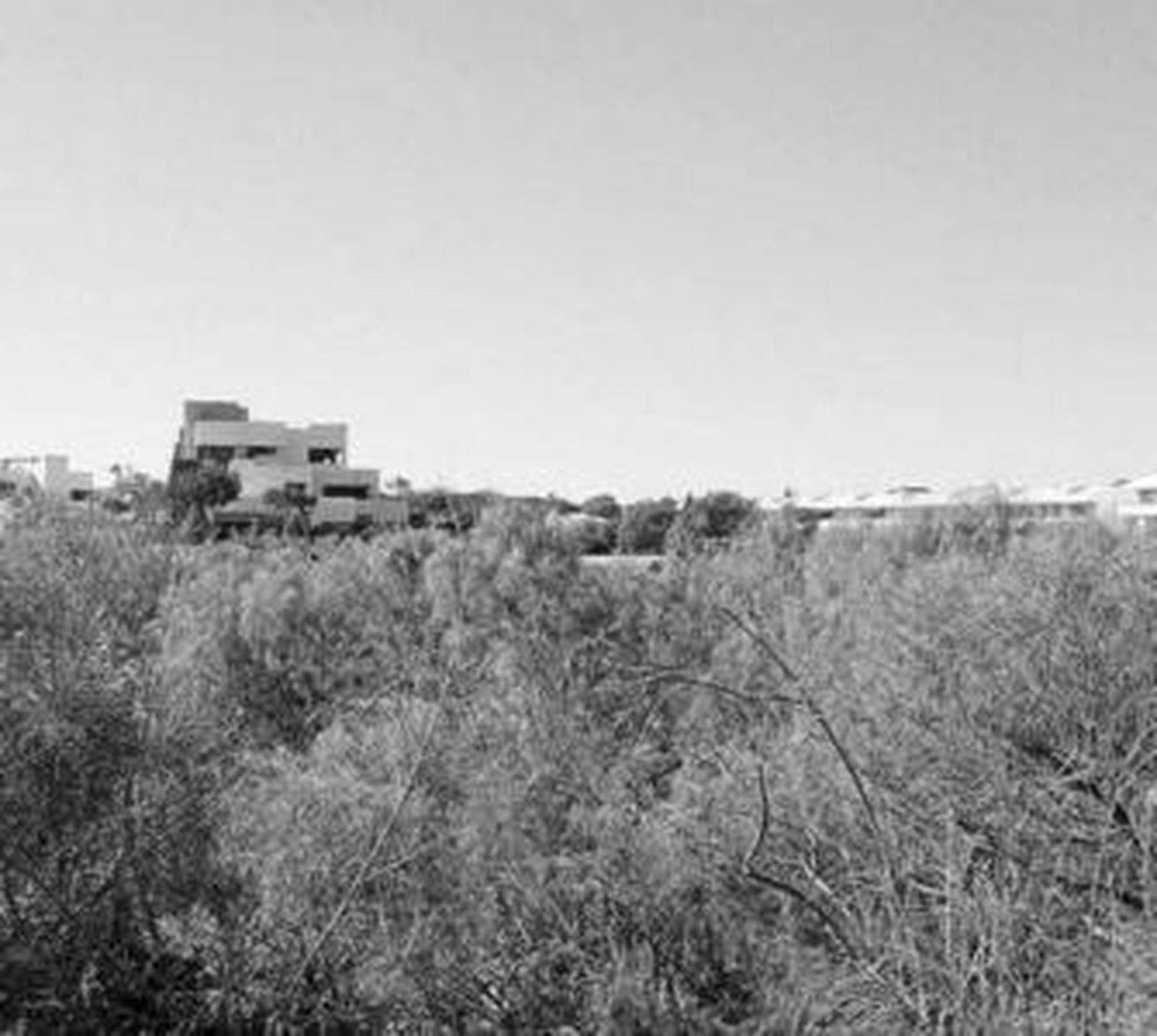 Terrenos del PAU-CO1 Golf Vistahermosa 2, en El Puerto.