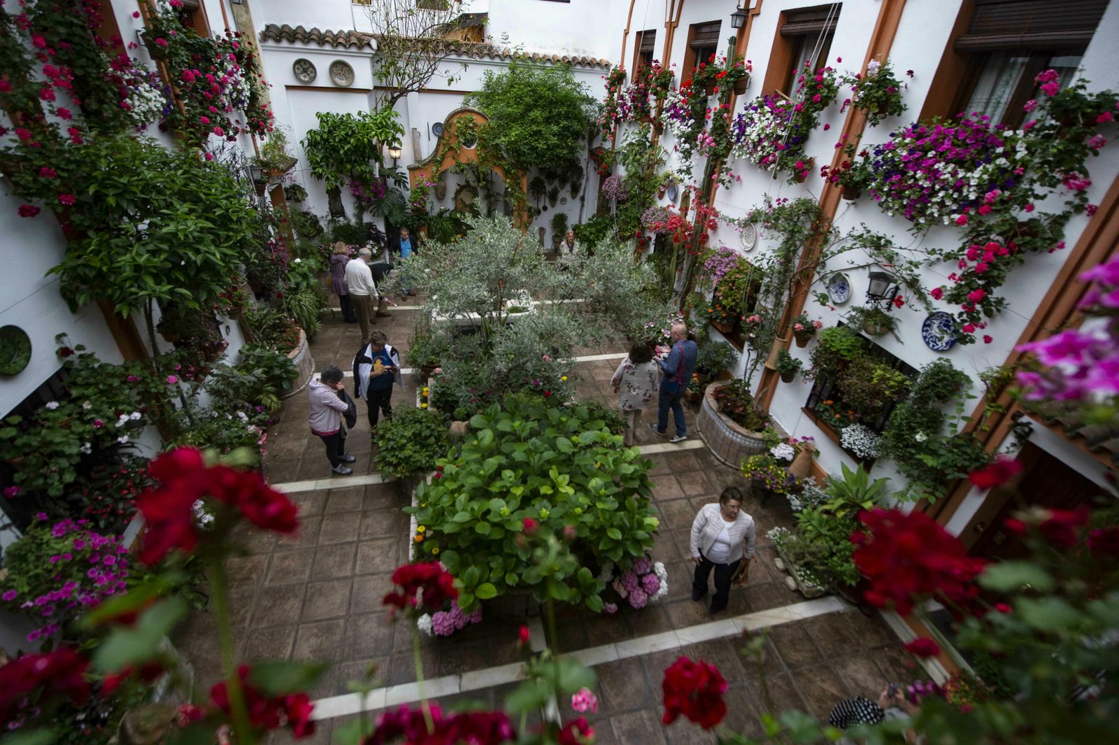 En imágenes: la ruta de los Patios Santa Marina-San Agustín