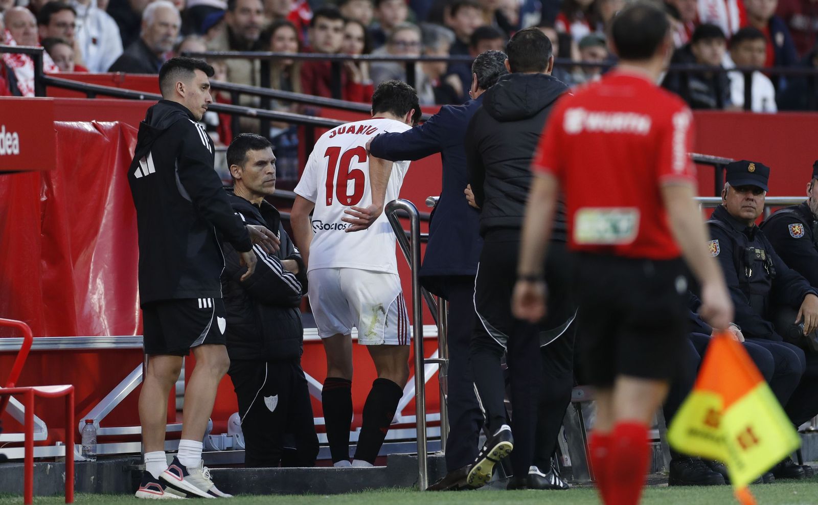 Las fotos del Sevilla FC - Alavés