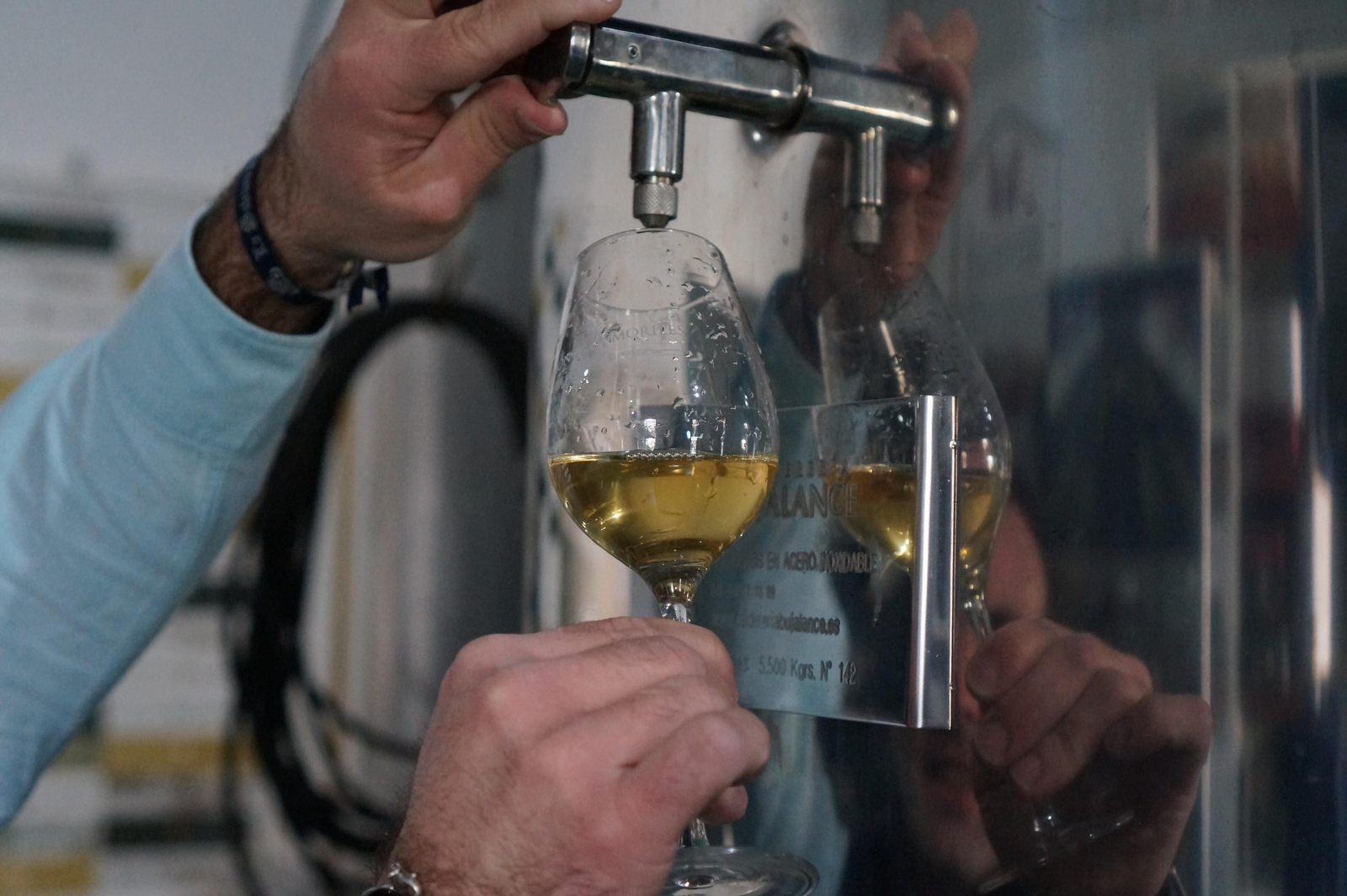 Un recorrido en fotografías por el vino nuevo de Moriles