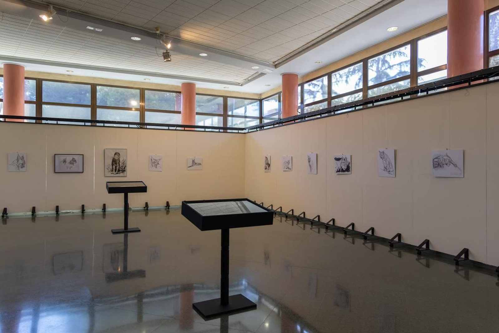 Exposición Los pinceles del lince ibérico, en imágenes