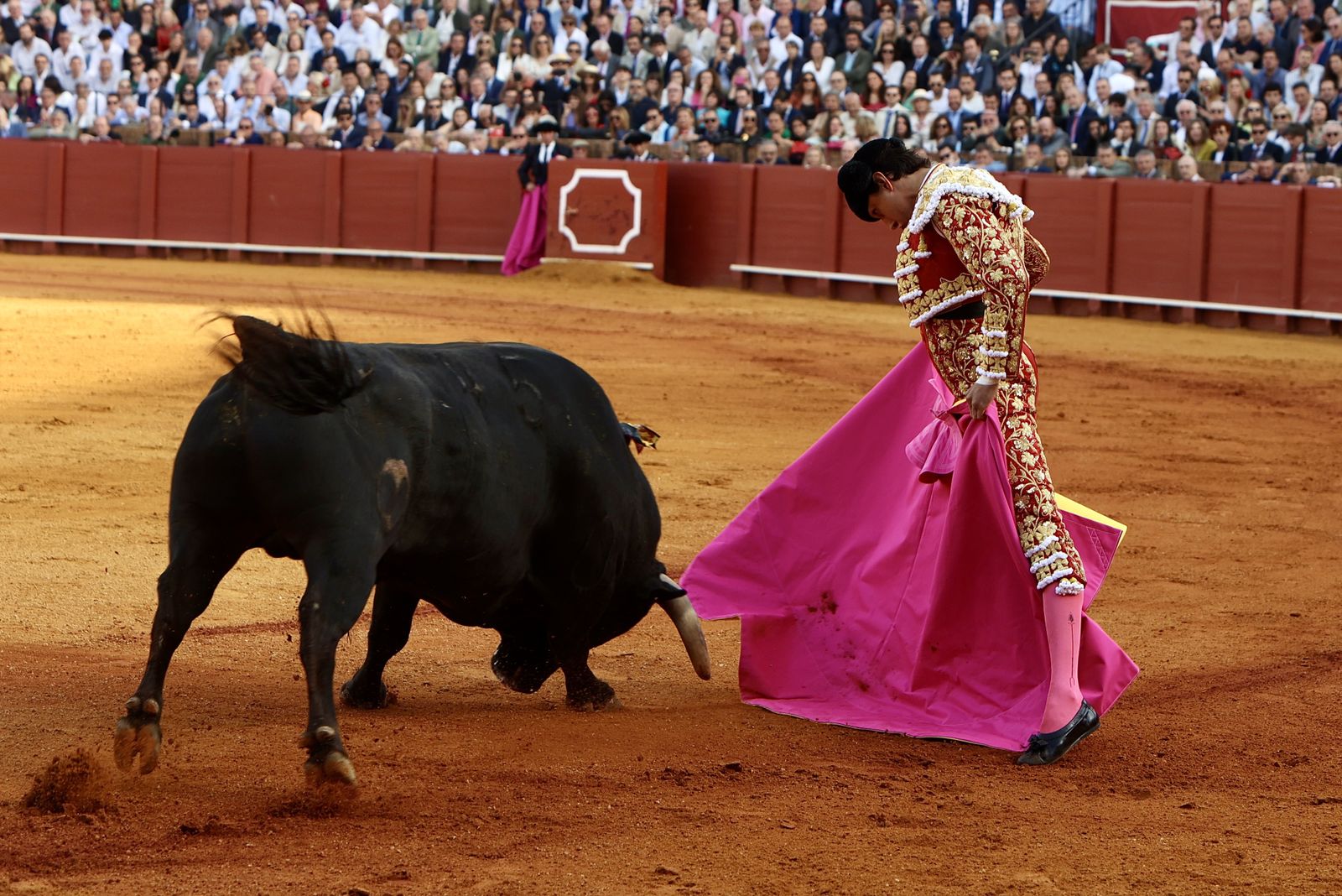 Las mejores imágenes de la corrida de toros de Juan Ortega, Roca Rey y Pablo Aguado