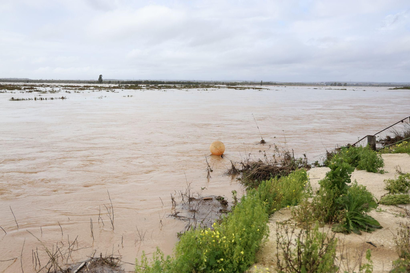 Imágenes de las inundaciones en Gibraleón por la borrasca Laurence este lunes