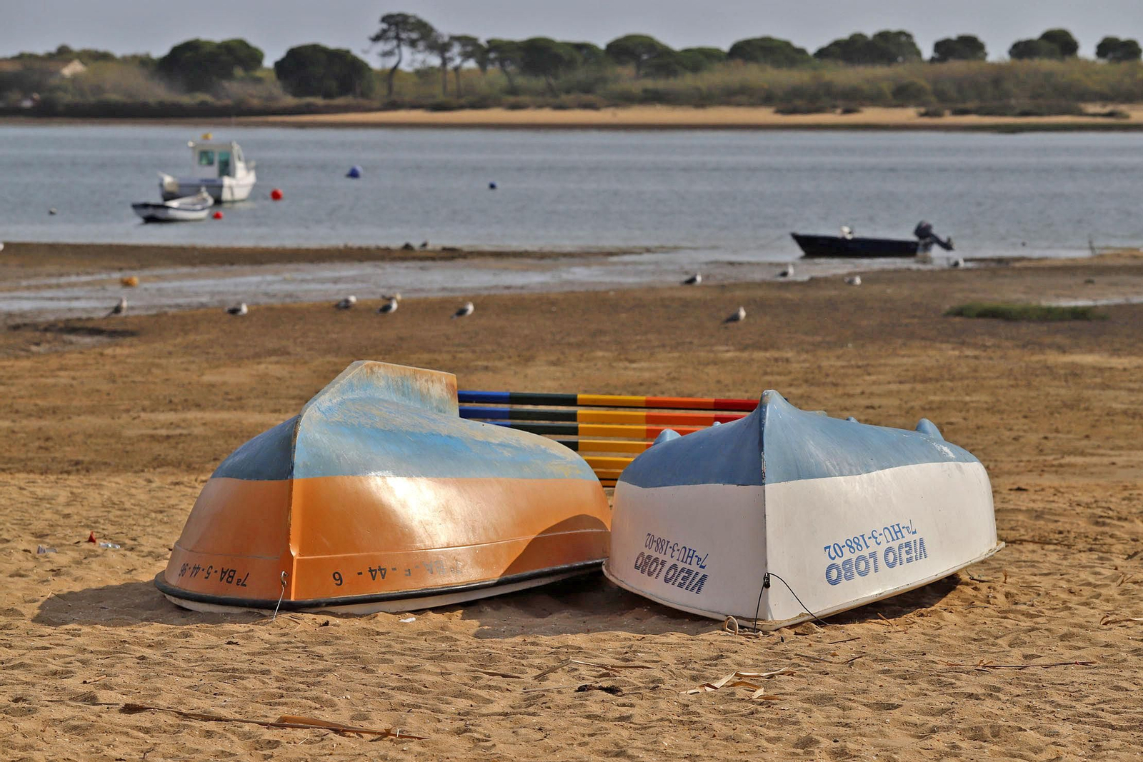 Imágenes del martes 12 de octubre en Huelva