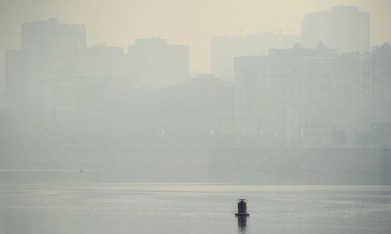 Siete regiones rusas están en estado de emergencia por los fuegos forestales. / AFP
