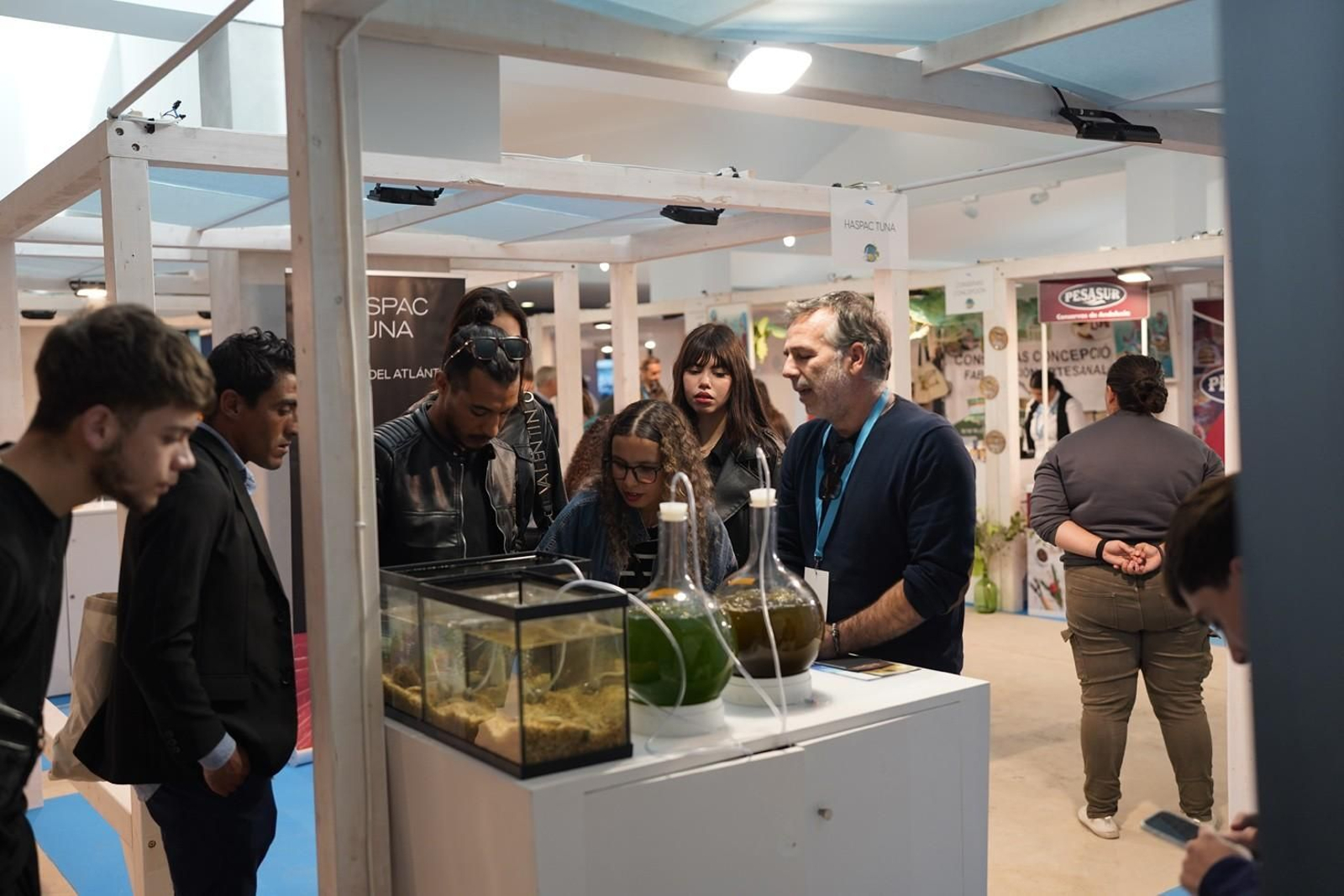 Una edición anterior de Vimar.