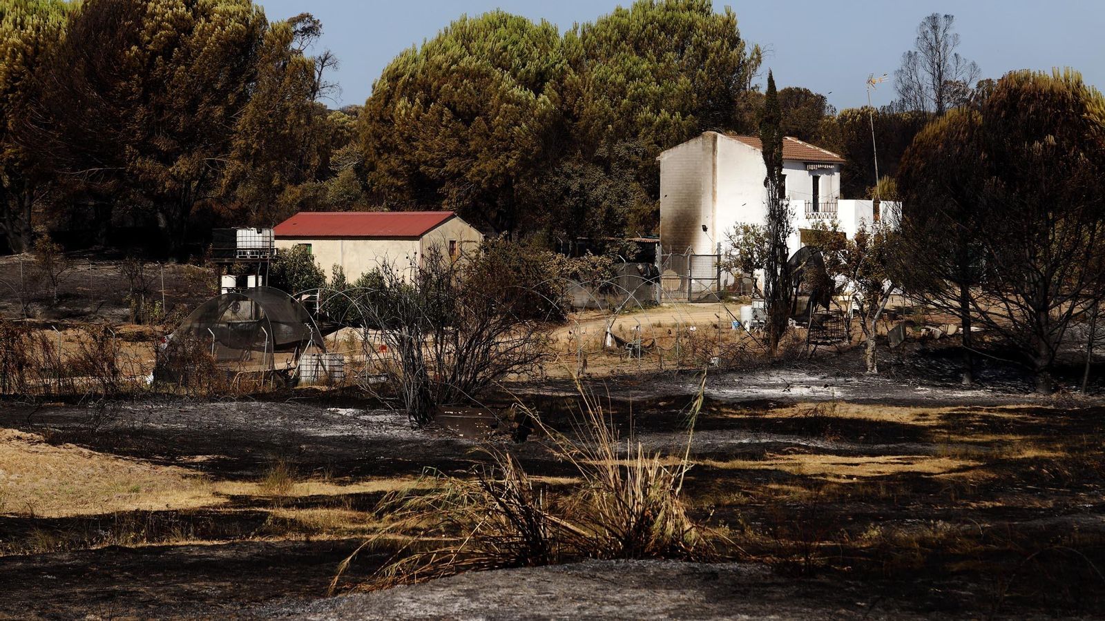 Incendio de Bonares el pasado mes de julio.