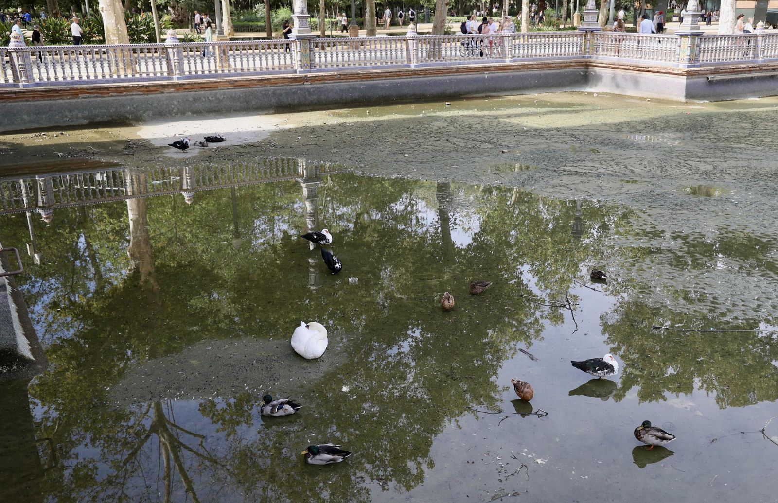 Vaciado de la ría de la Plaza de España para su liemza y restauración