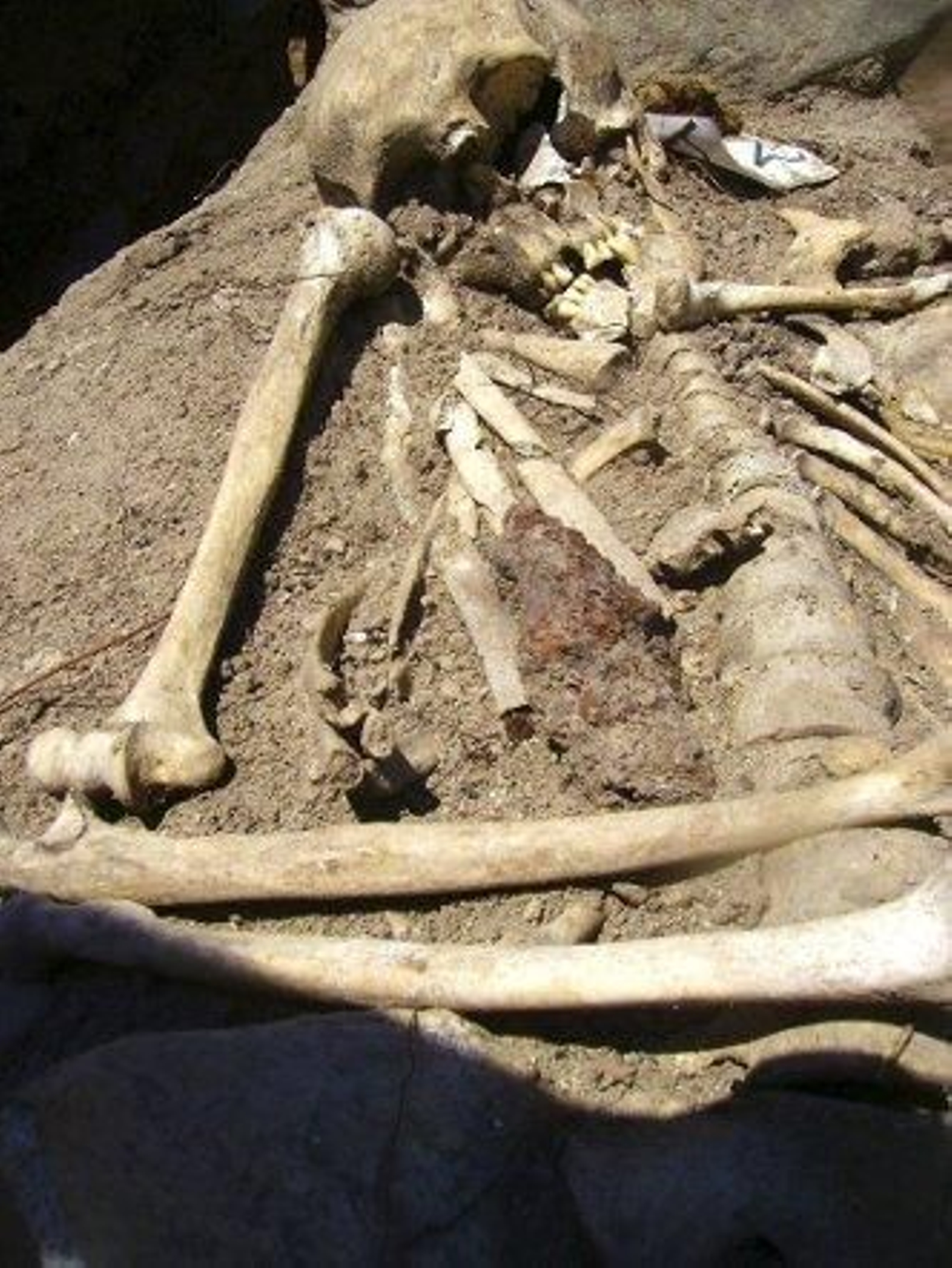 Una de 'vampiros' en Bulgaria