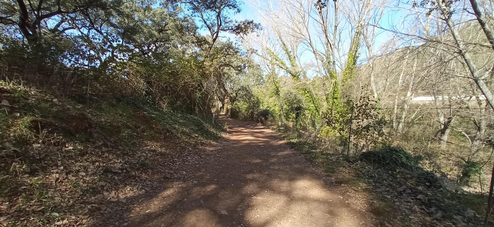 Las imágenes de la ruta de la cascada de Jollarancos y bosque de las letras