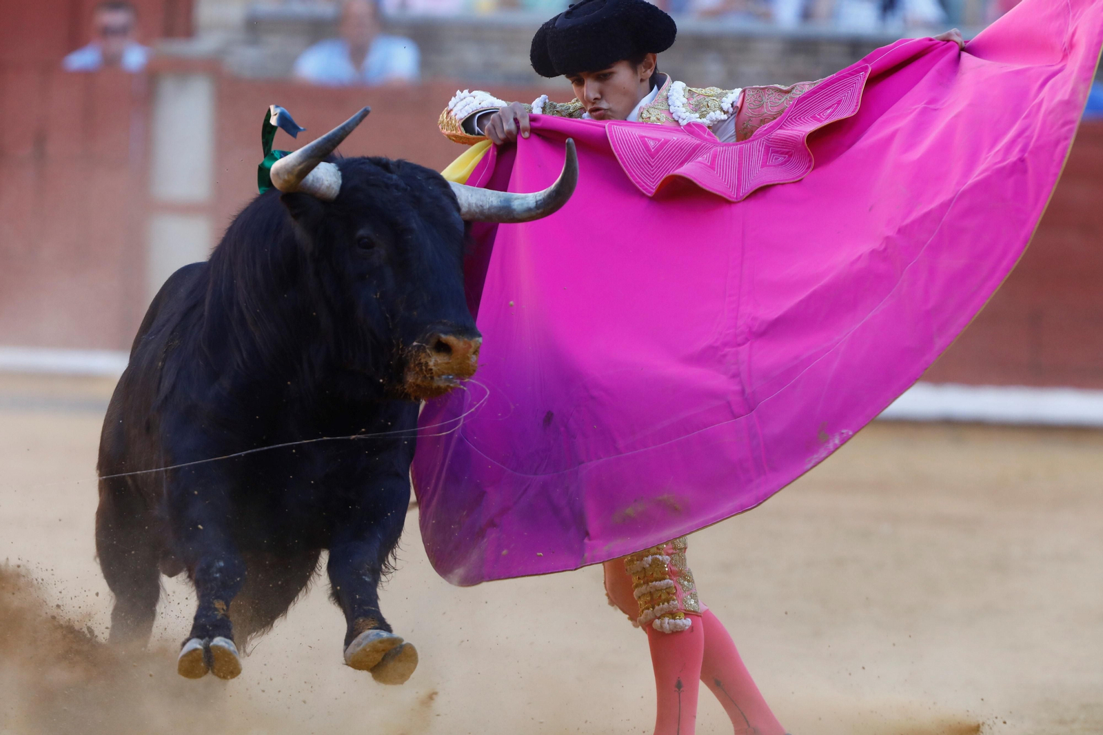 La presentación del novillero Manuel Román en Córdoba, en imágenes