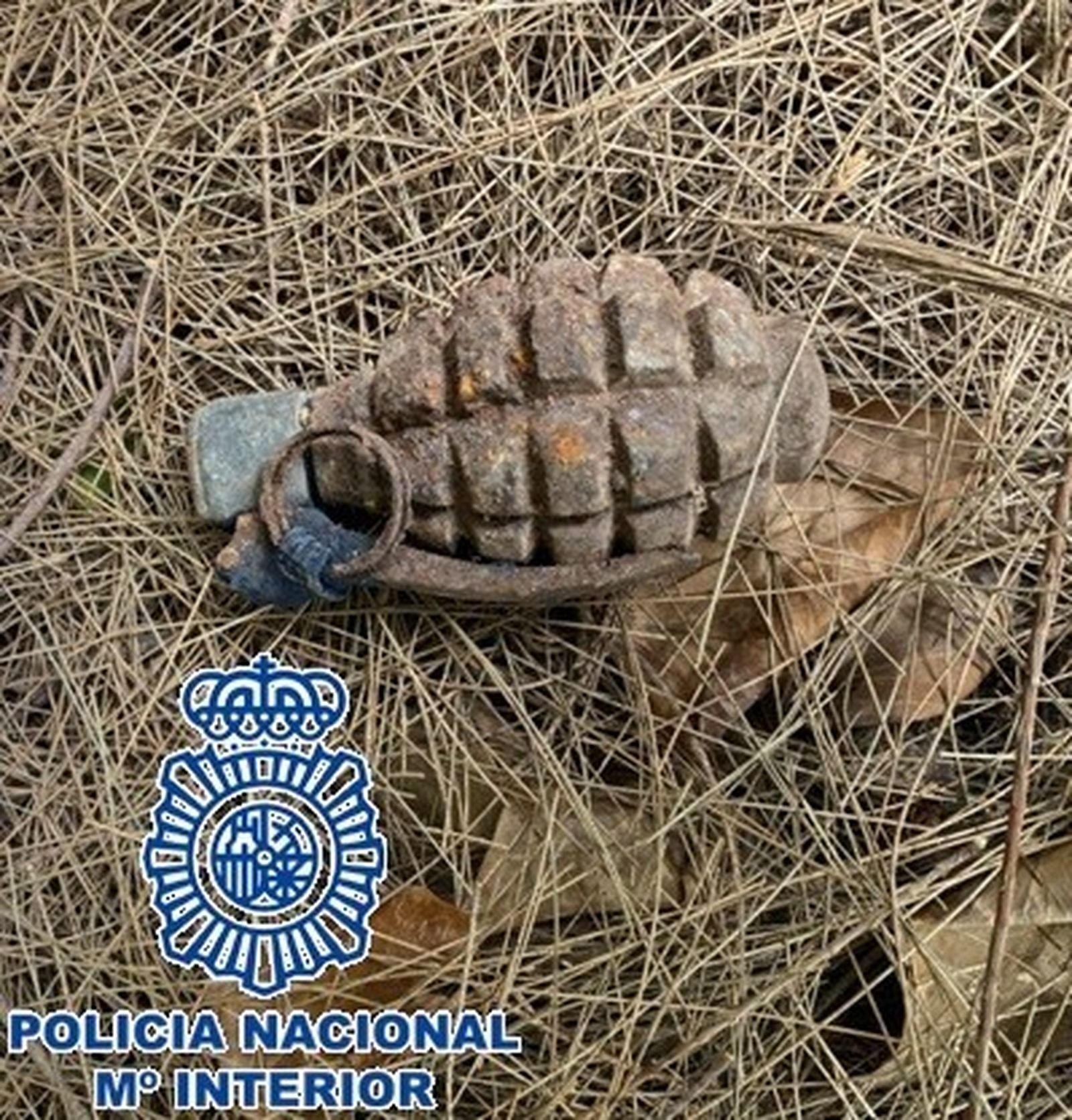 Una de las granadas localizadas.