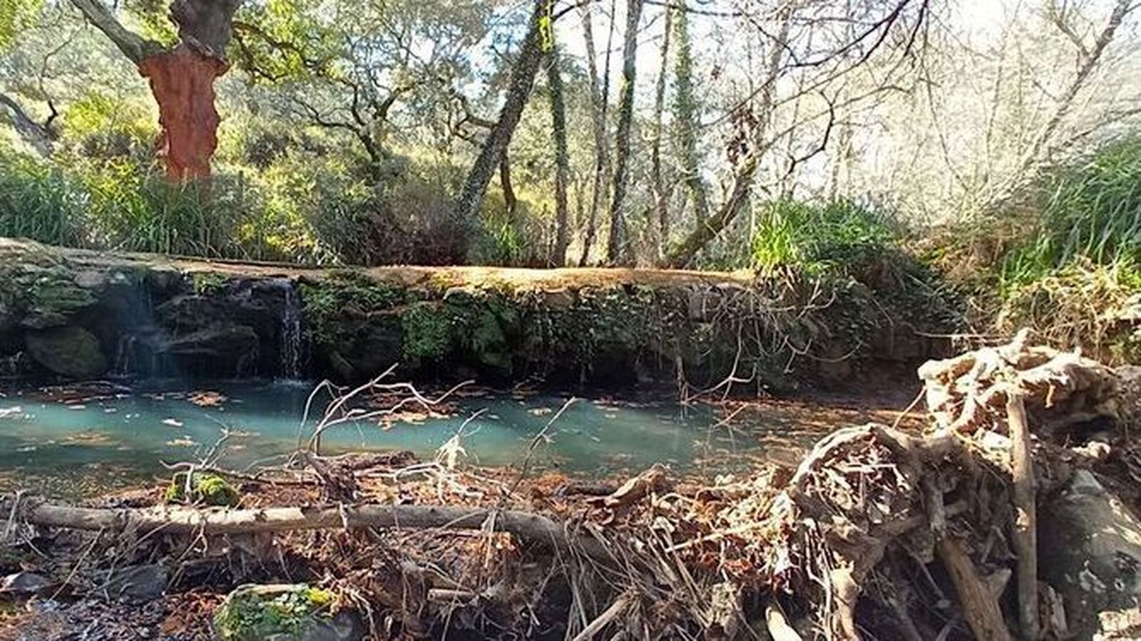 Adéntrate y disfruta de la naturaleza con estos senderos onubenses
