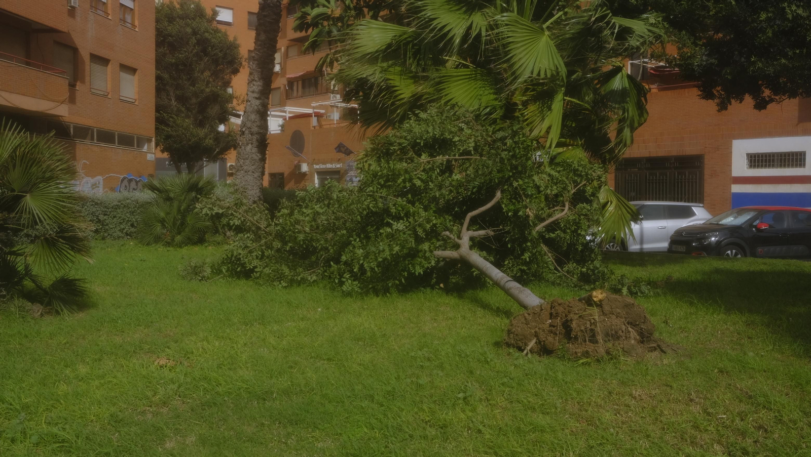 Imágenes del temporal de viento en Almería