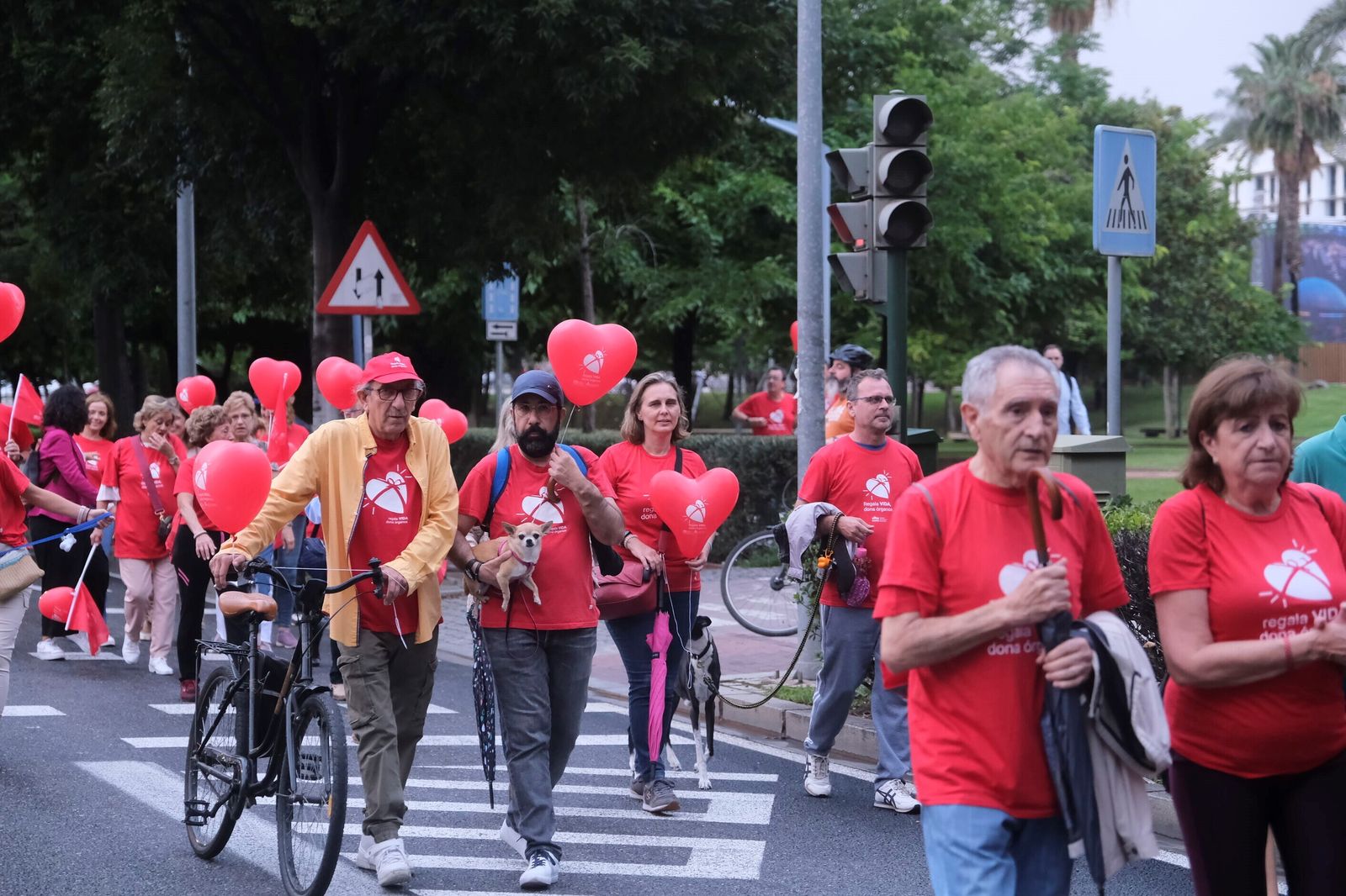 La marcha por la donación tiñe de rojo las calles de Córdoba, en imágenes