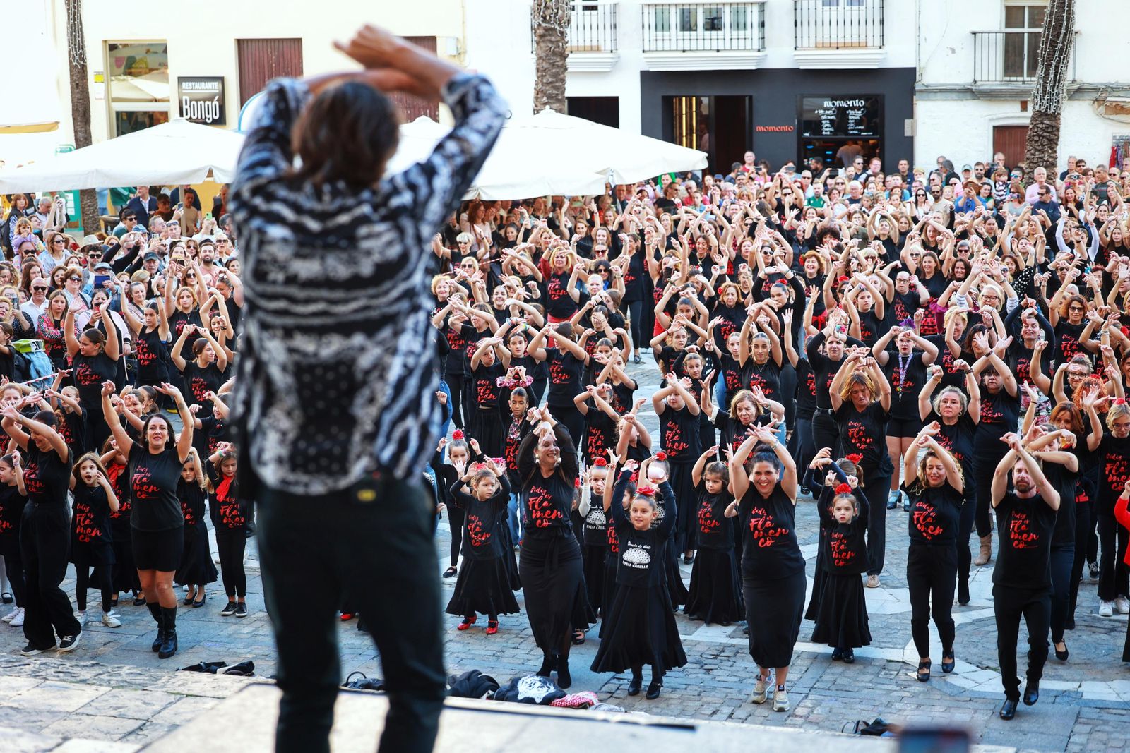 Imágenes del 'flashmob' por el Día del Flamenco en Cádiz