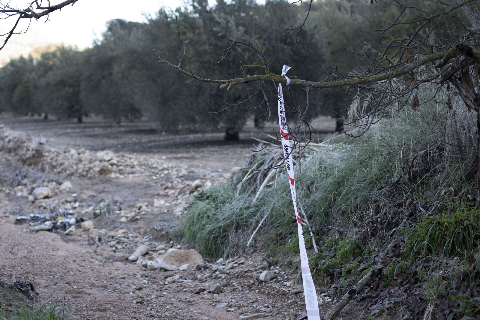 Cordón policial en la zona de la desaparición en Íllora