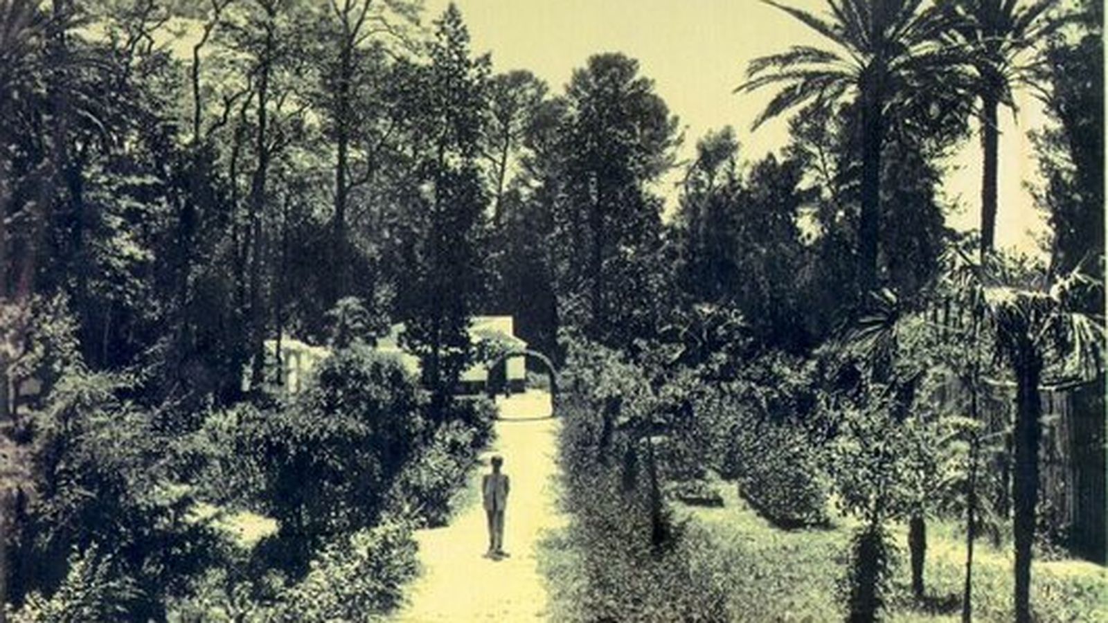 Antiguos jardines del Zoobotánico.