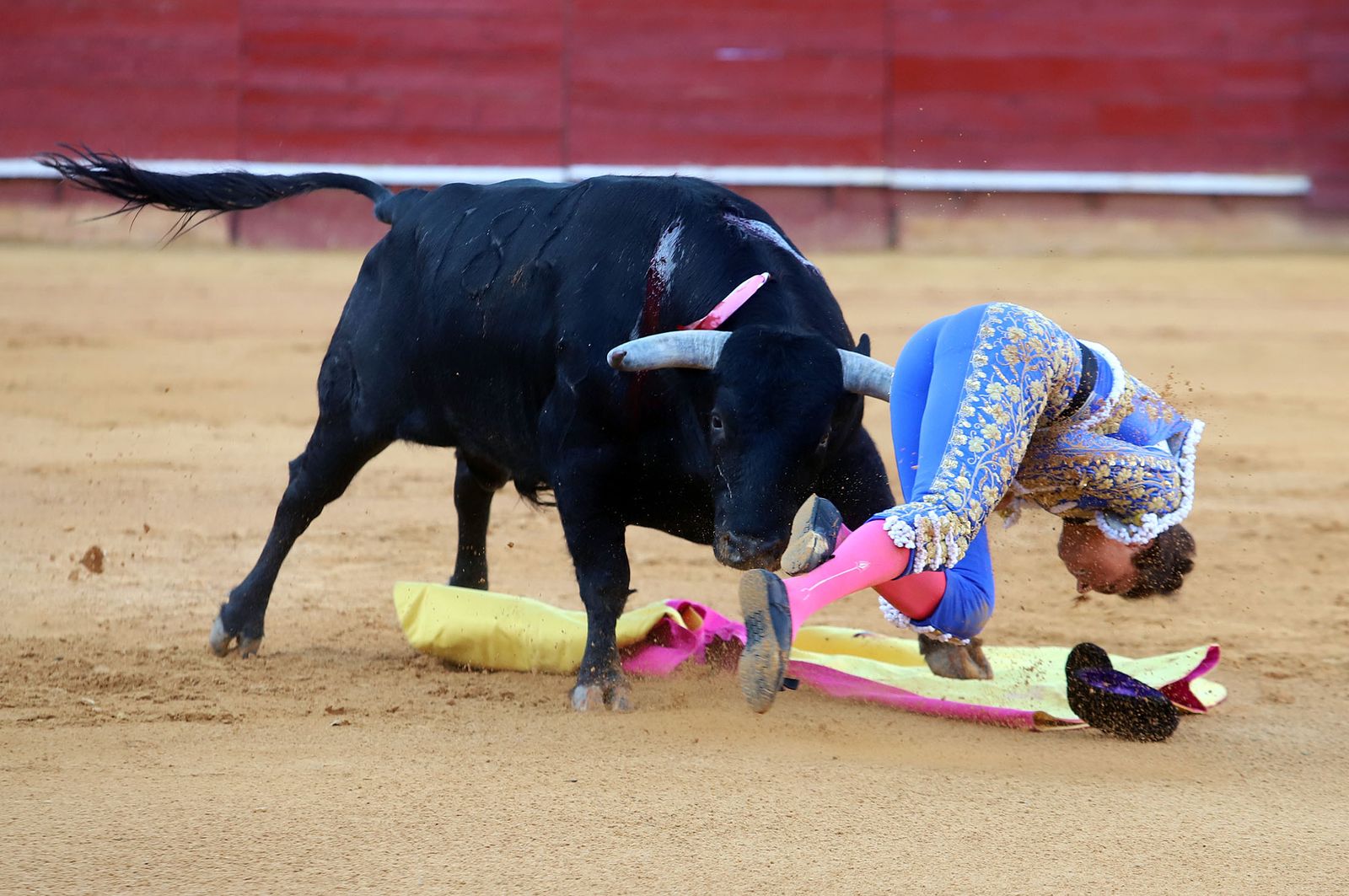 Colombinas 2023: Las imágenes de la corrida de toros de Roca Rey y ...