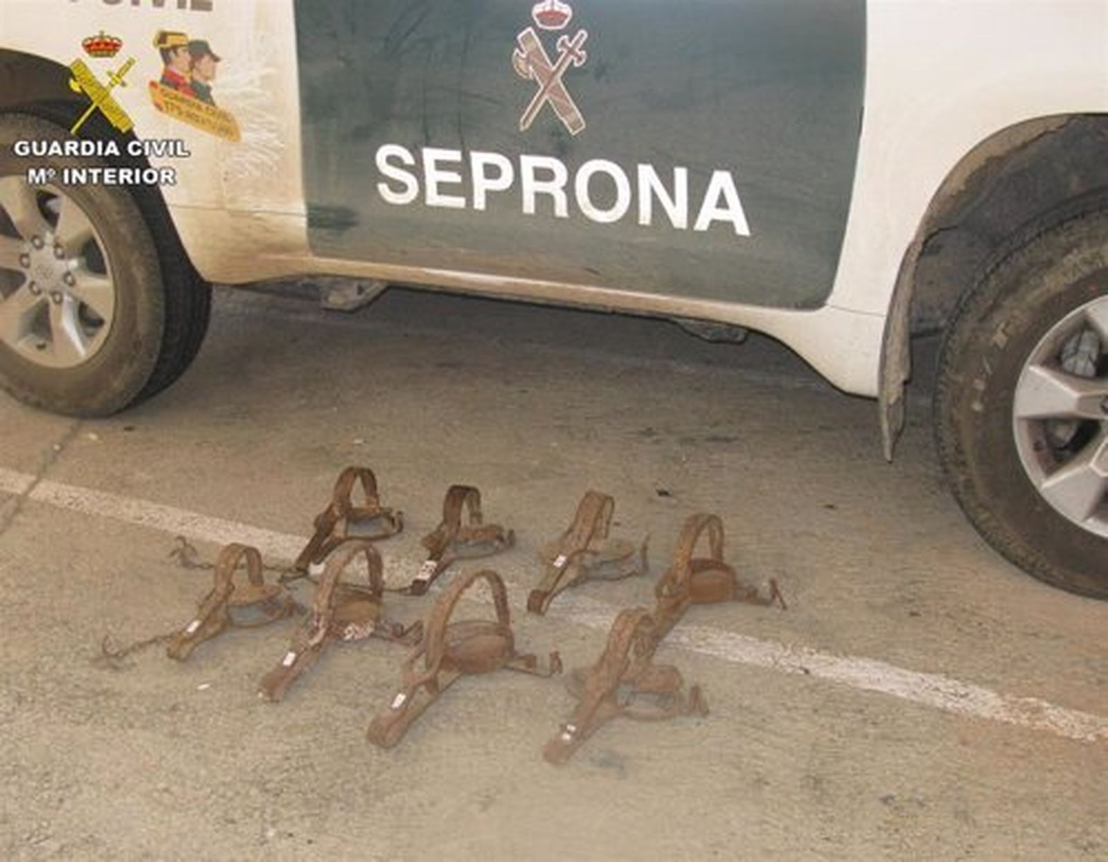 La Guardia Civil localiza en un comercio de Teruel ocho cepos prohibidos para la captura de animales