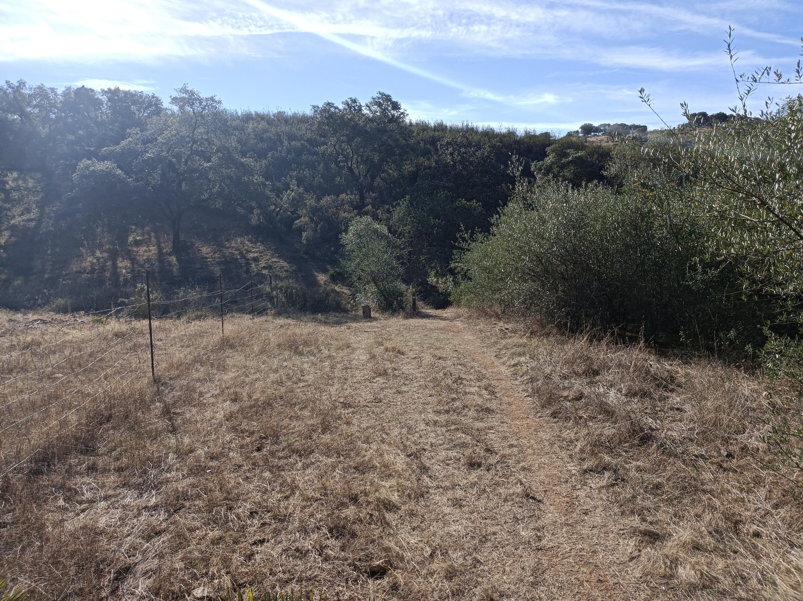 El sendero se hace algo más abrupto, pasando a un lado y otro de un arroyo. Hay que fijarse en los postes del PR.