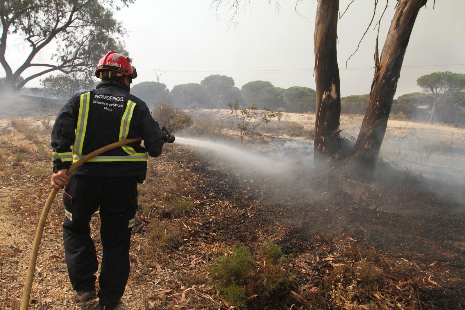 Las imágenes del incendio en Moguer y Mazagón