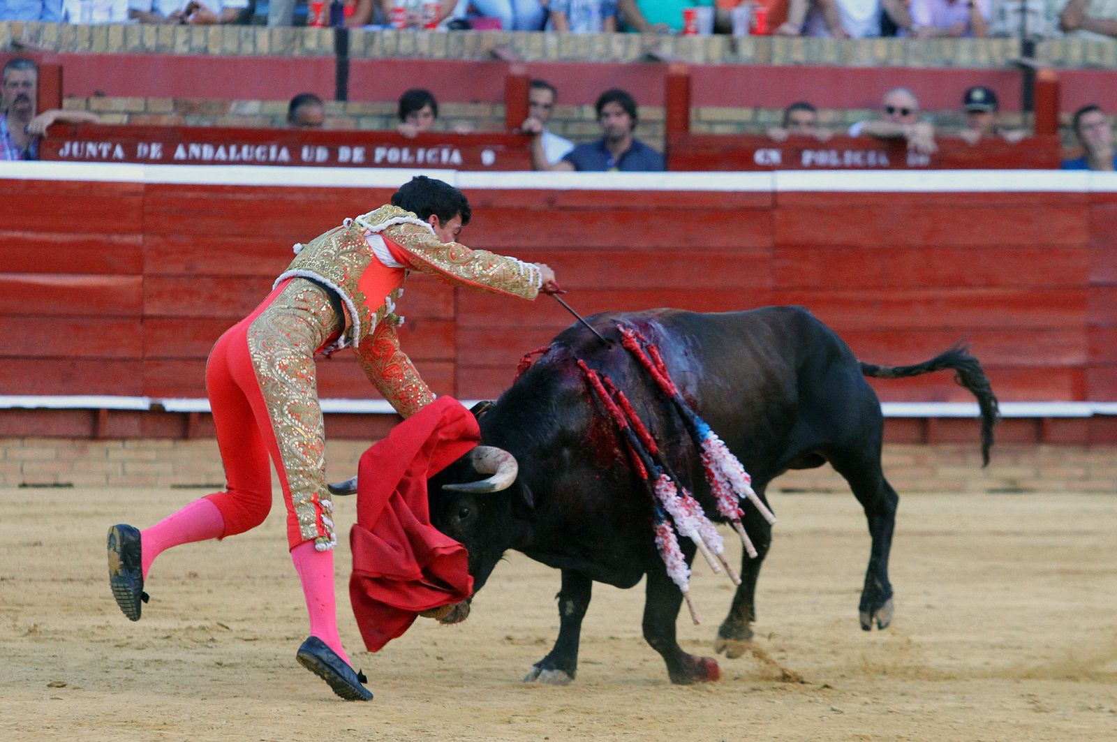 Imágenes de la Novillada de Rafael Serna, Emilio Silvera y Rodrigo Molina.