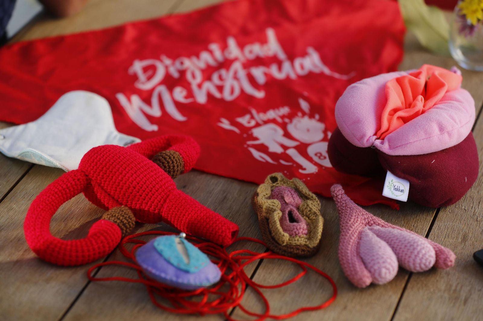 Elementos didácticos usados por educadoras menstruales.