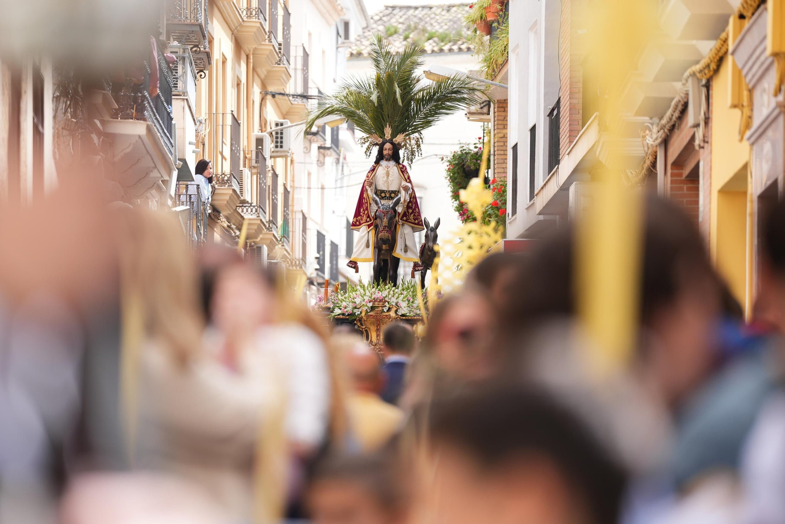 El Domingo de Ramos en Lucena