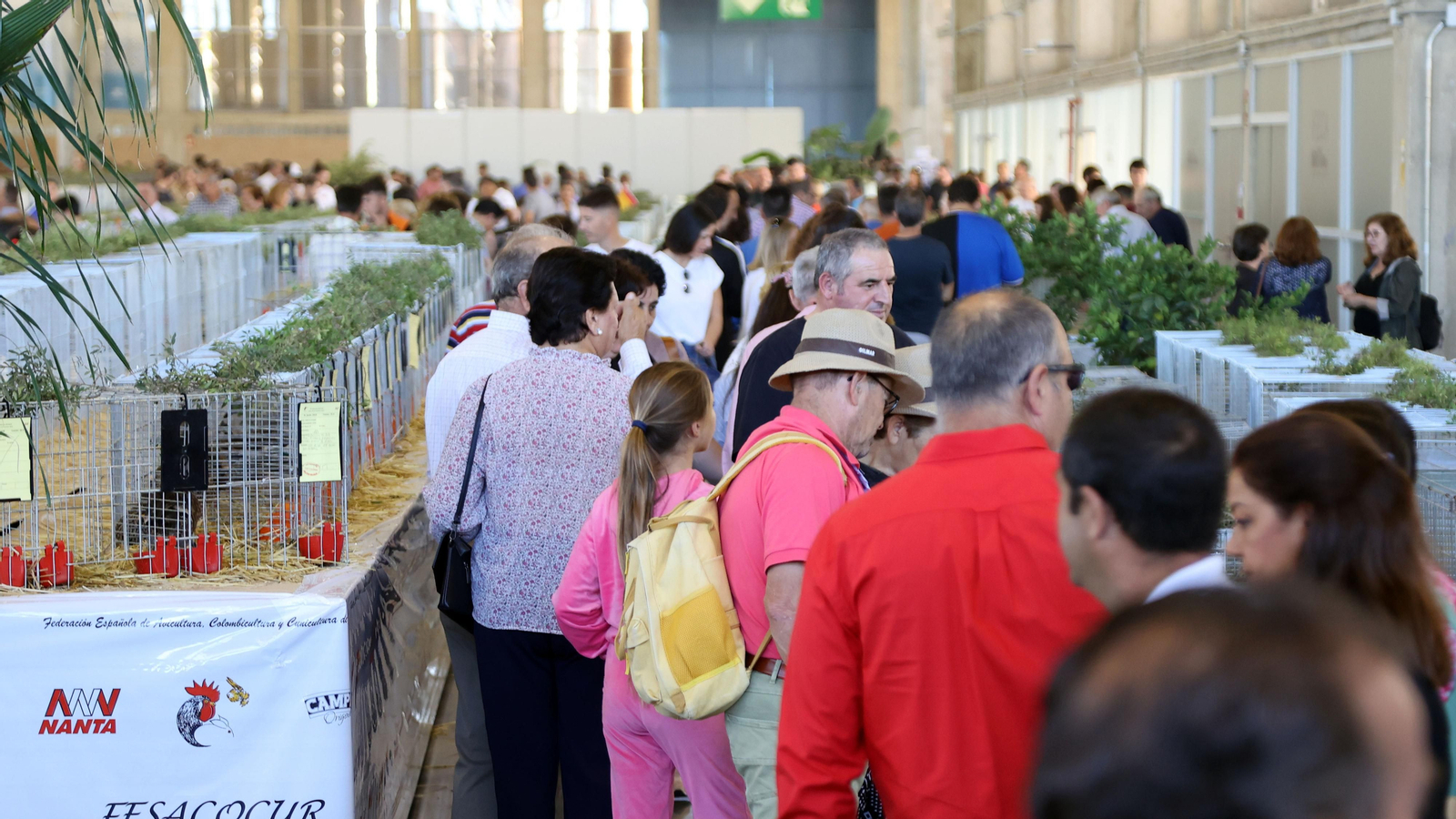 Gran afluencia de público en la clausura de Fegasur