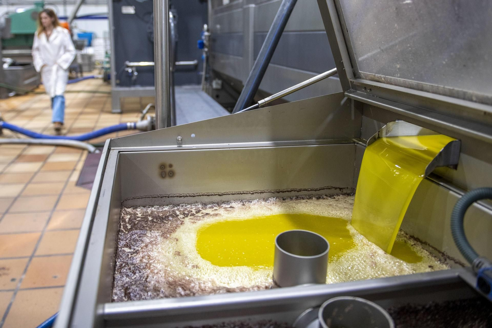 Almazara en Jaén durante una fase de producción. EFE/ José Manuel Pedrosa