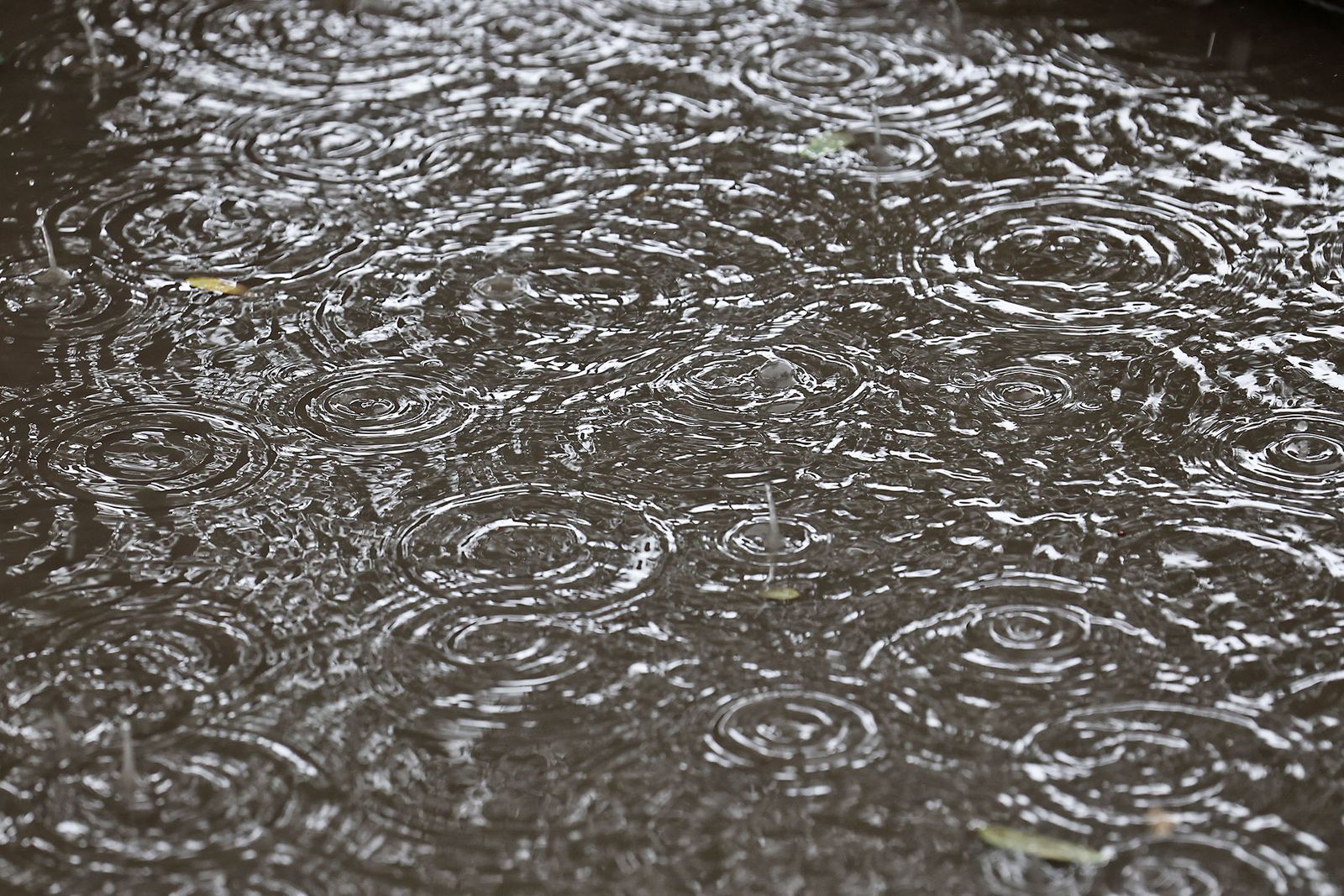 Las imágenes más destacadas del miércoles 22 de enero en Huelva
