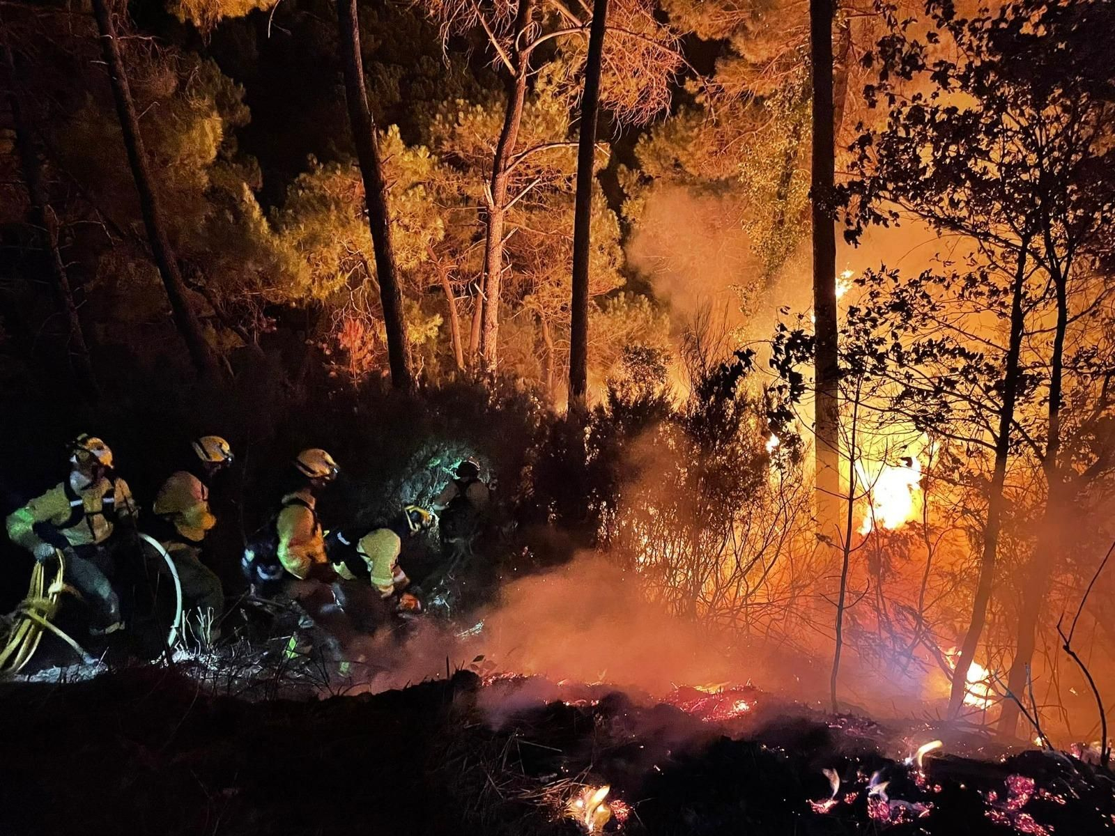 Las fotos del incendio que afecta a Jubrique, Genalguacil y Estepona